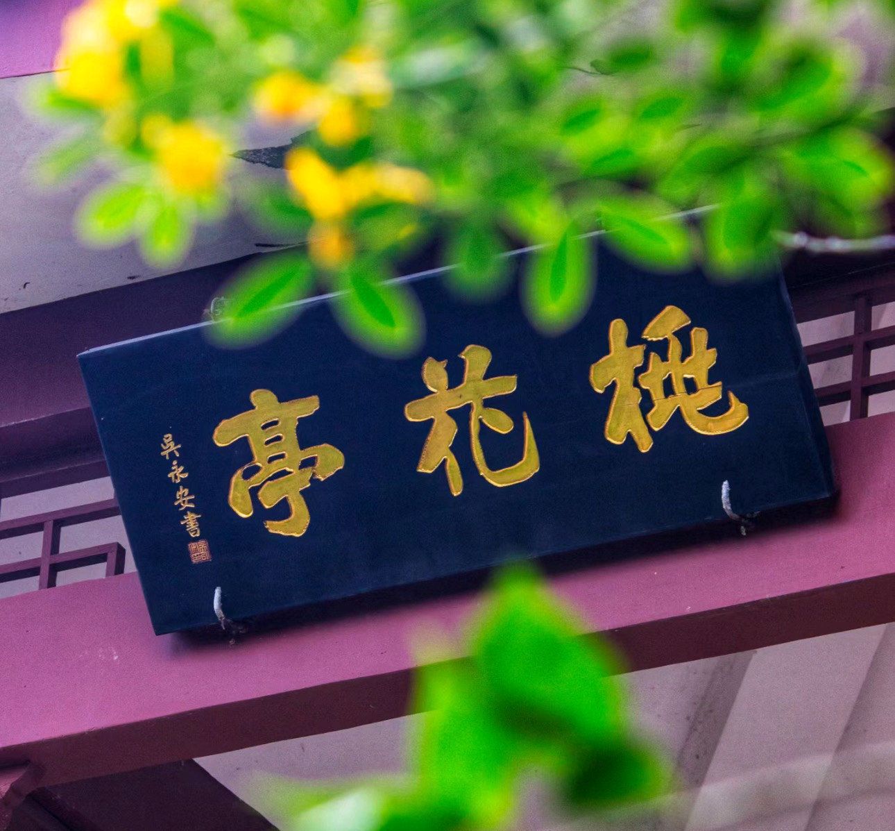 桃花山公园旅行图片 1