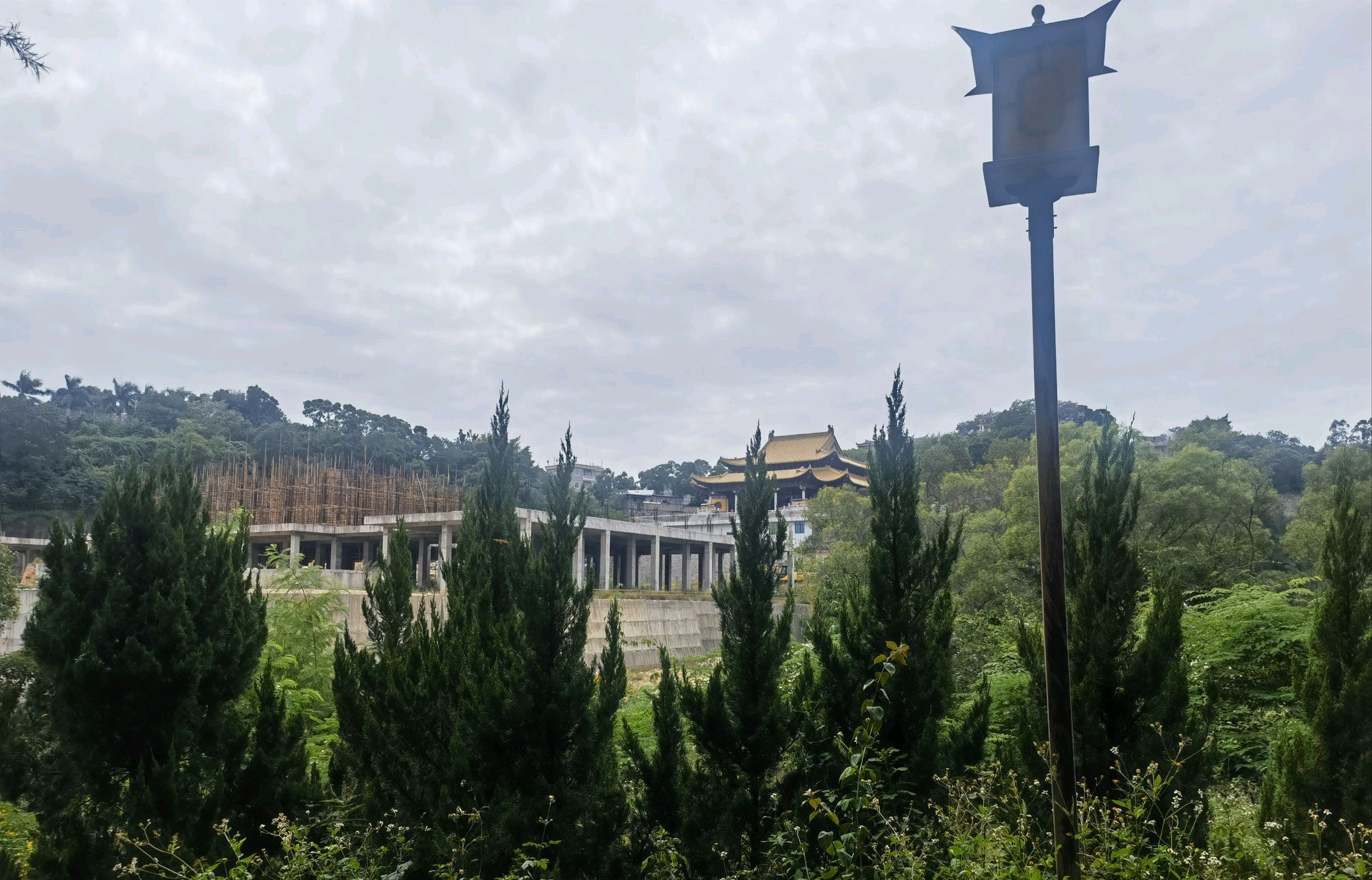 桃花山公园旅行图片 3