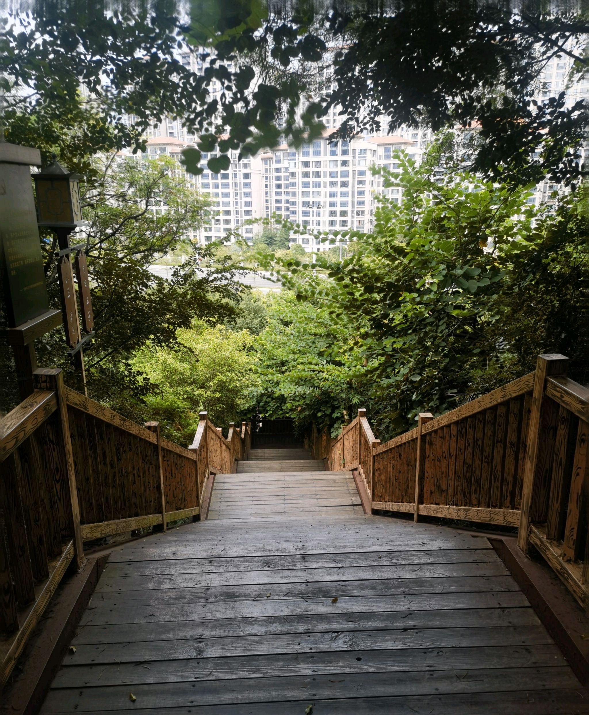 桃花山公园旅行图片 2
