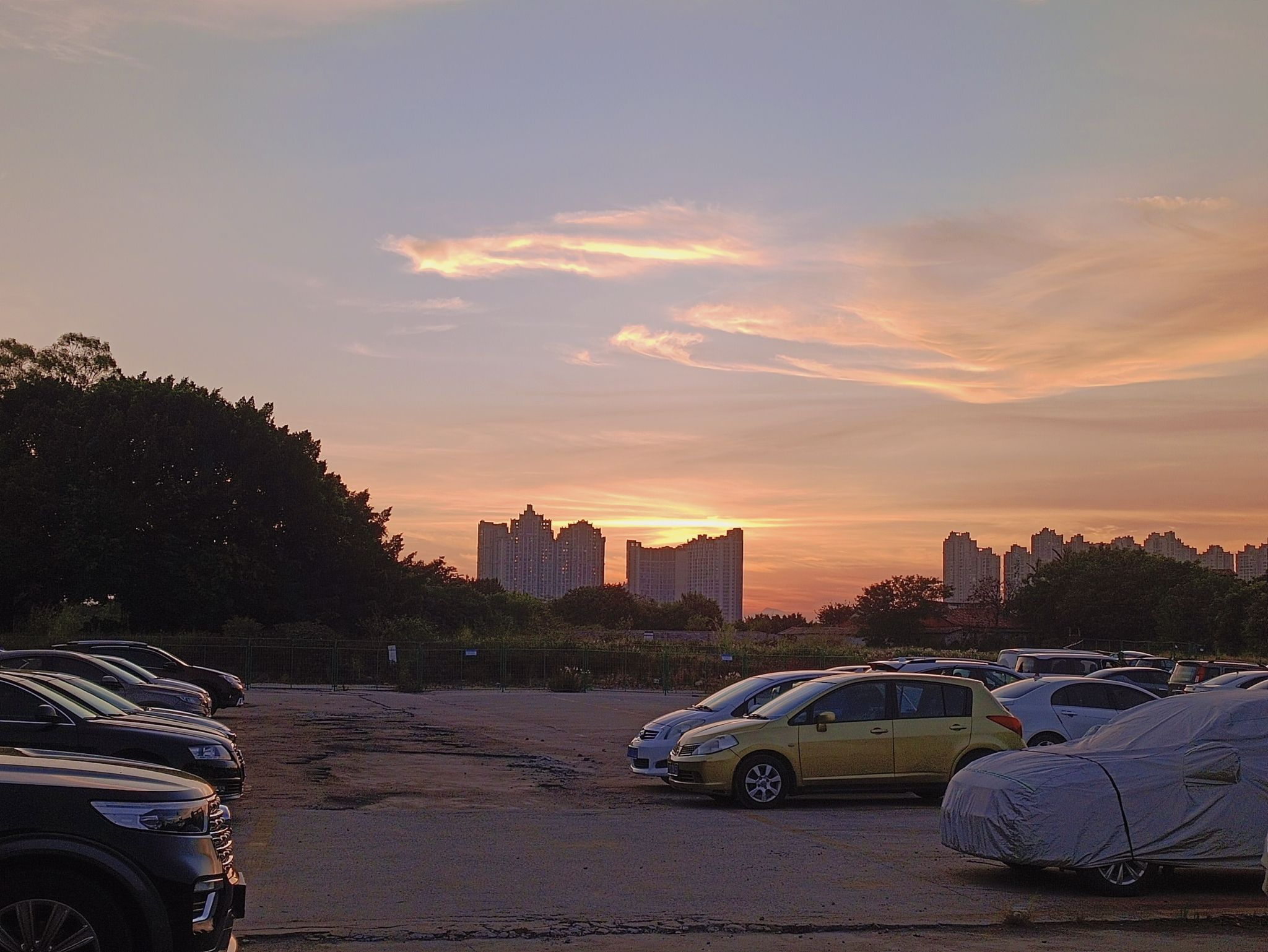 桃花山公园旅行图片 3