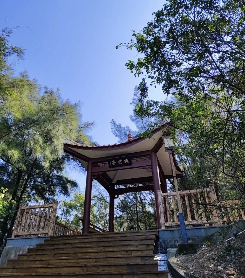 桃花山公园旅行图片 3