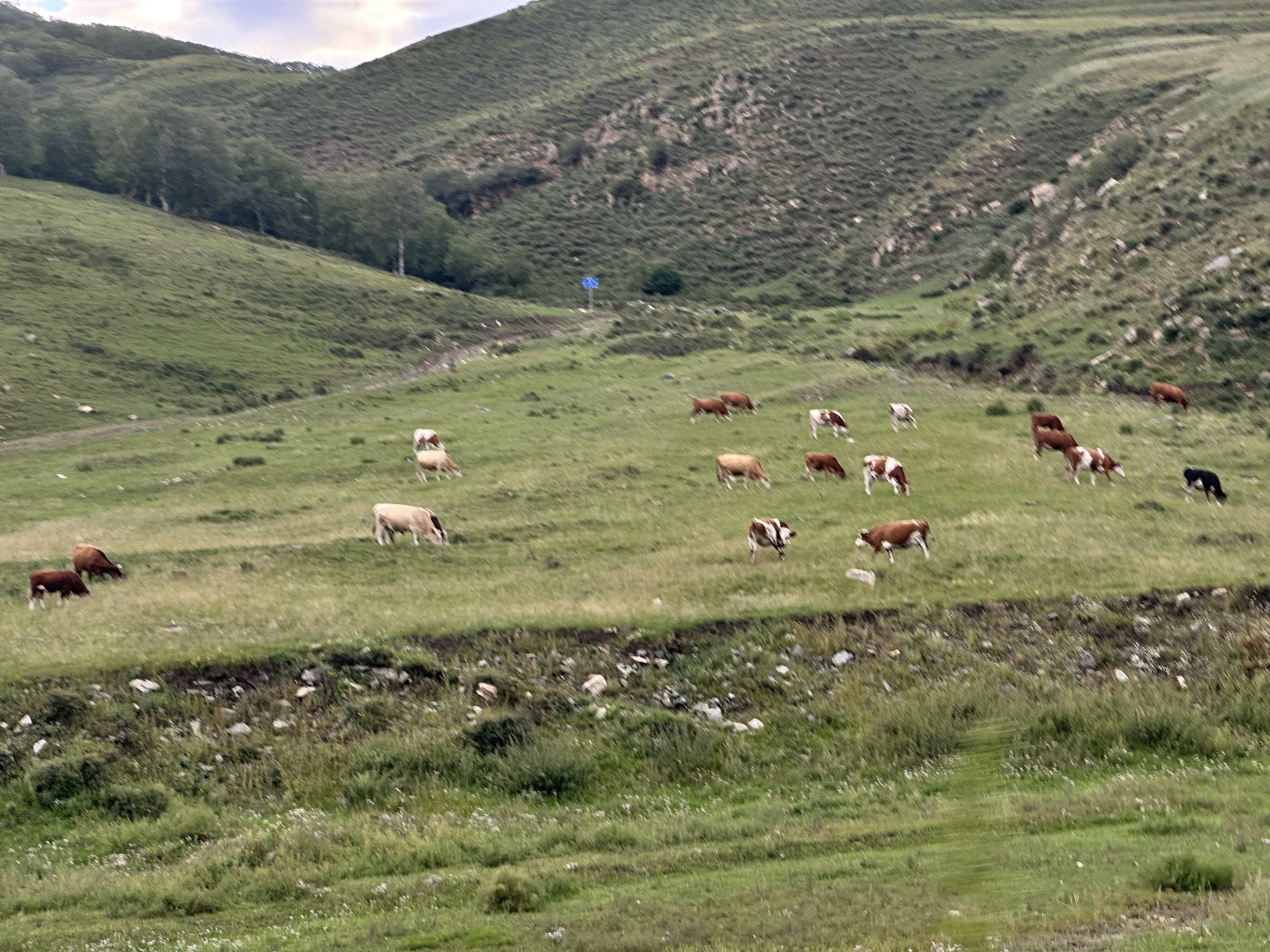 红召九龙湾旅行图片 2
