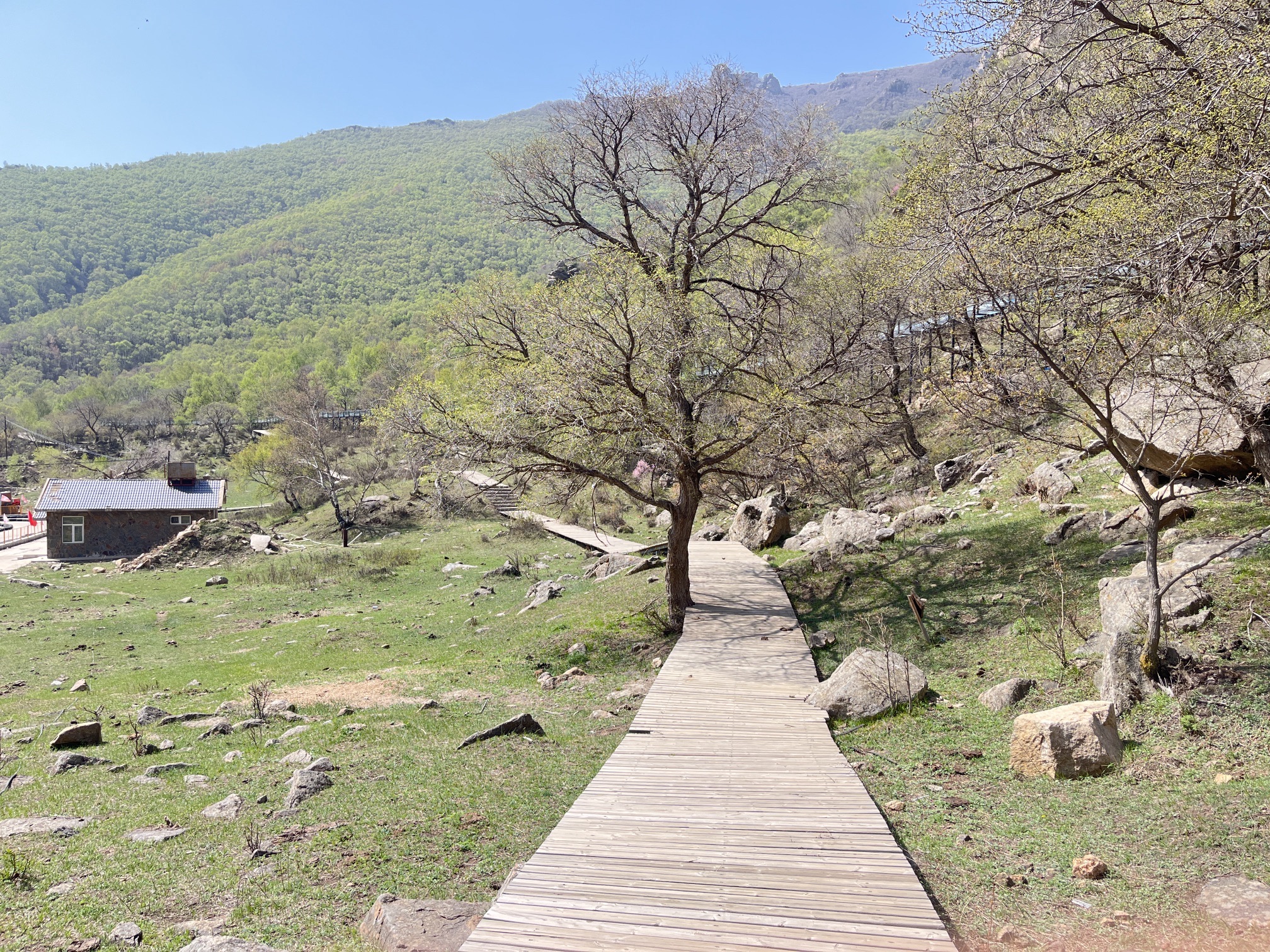 红召九龙湾旅行图片 1