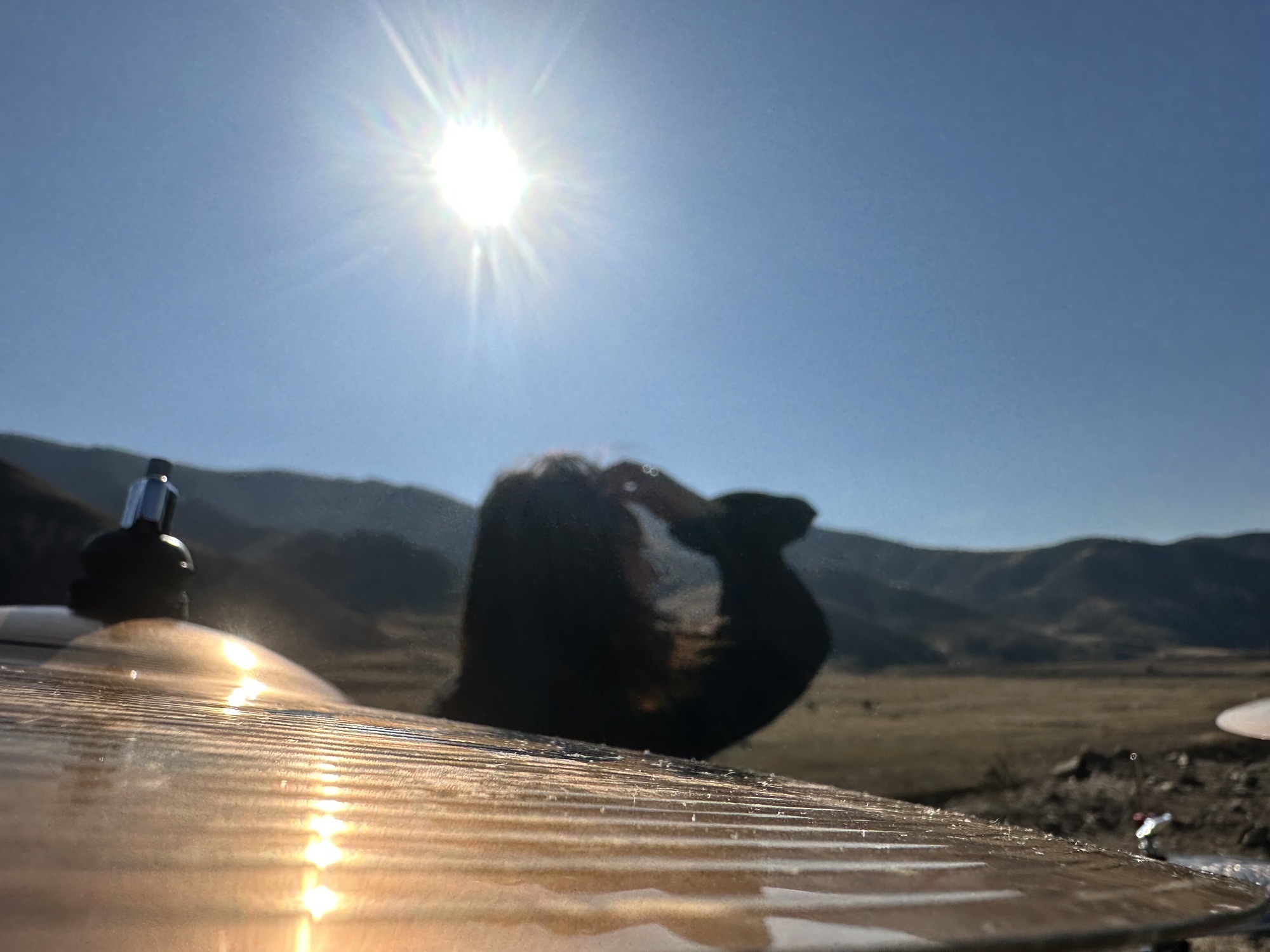 红召九龙湾旅行图片 3