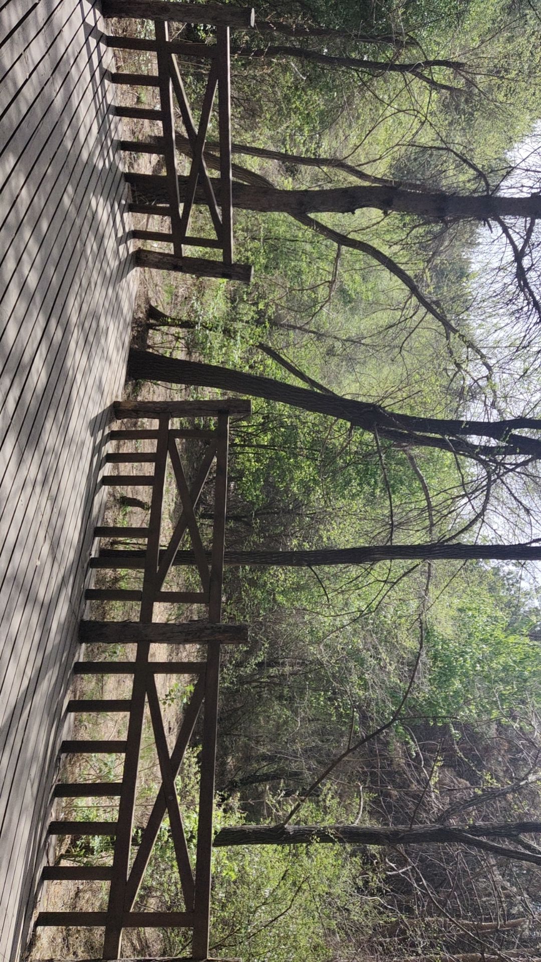 惠斯勒山旅行图片 3