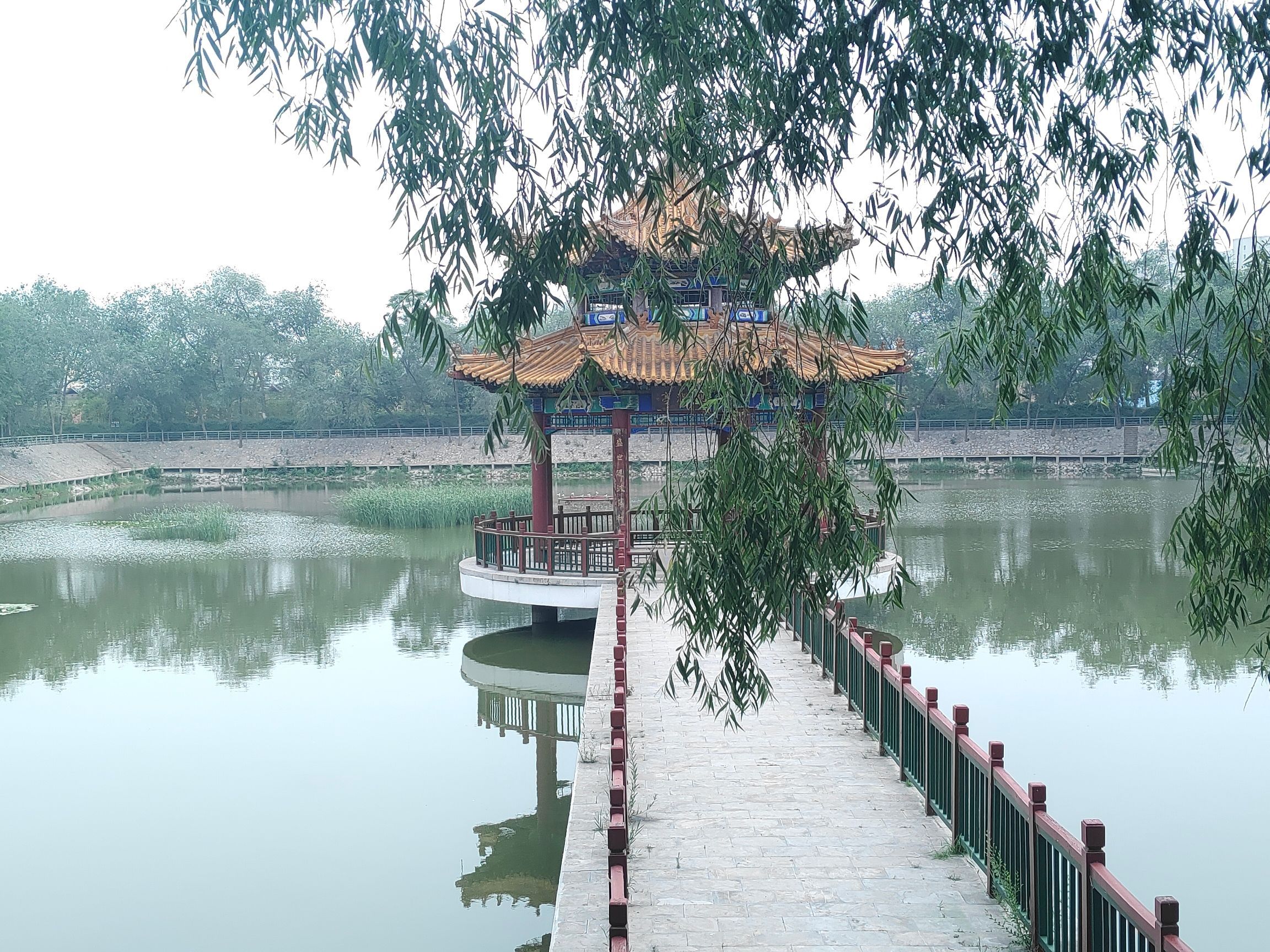 九龙湾公园旅行图片 1