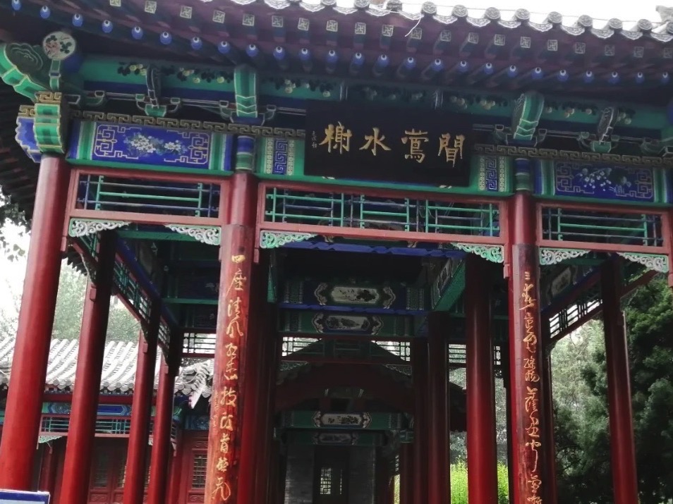 九龙湾公园旅行图片 3