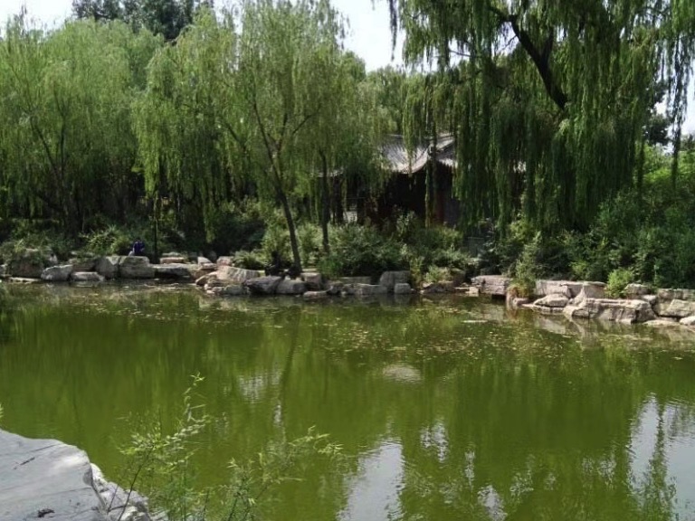 九龙湾公园旅行图片 1