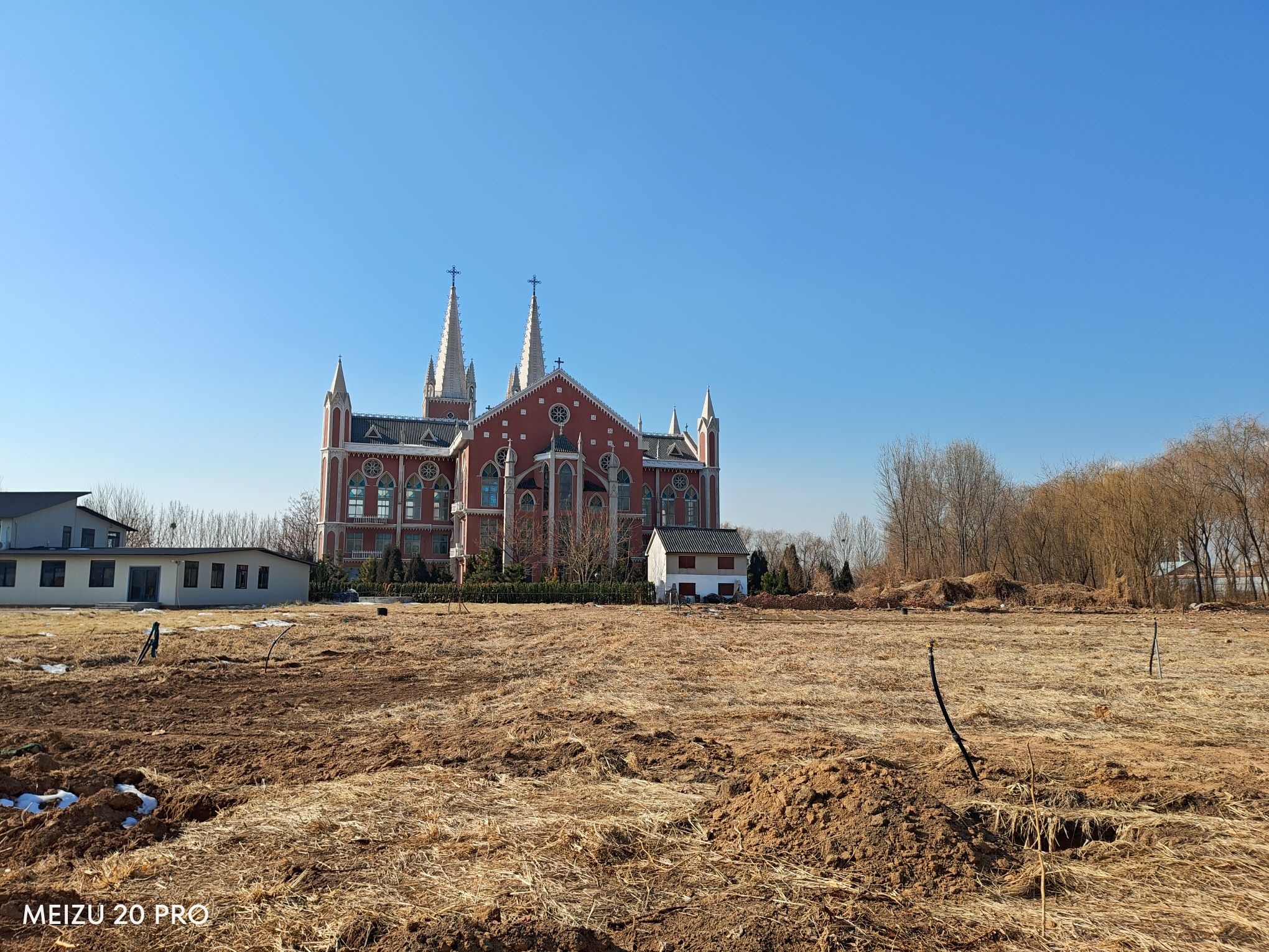 九龙湾公园旅行图片 1
