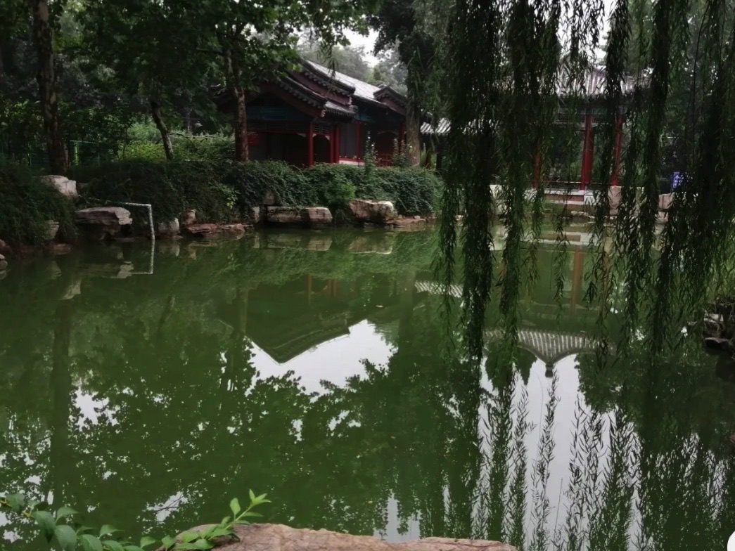 九龙湾公园旅行图片 2