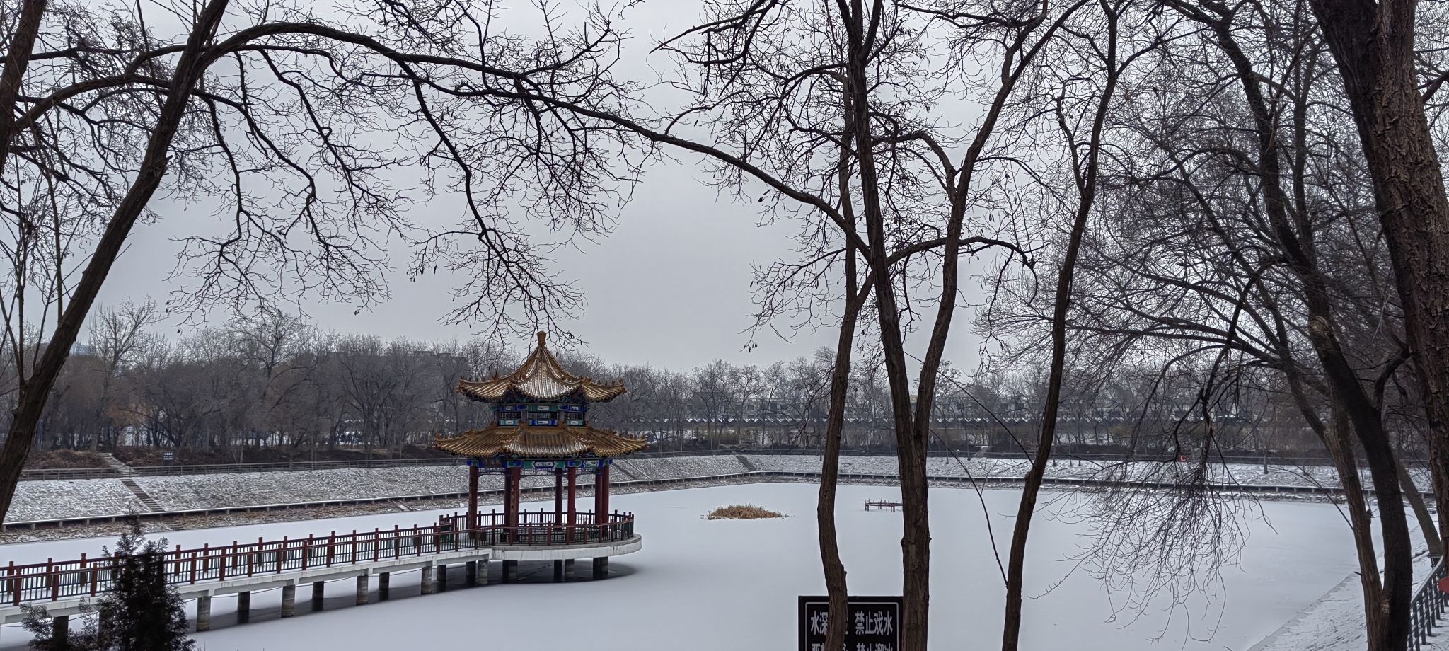 九龙湾公园旅行图片 1