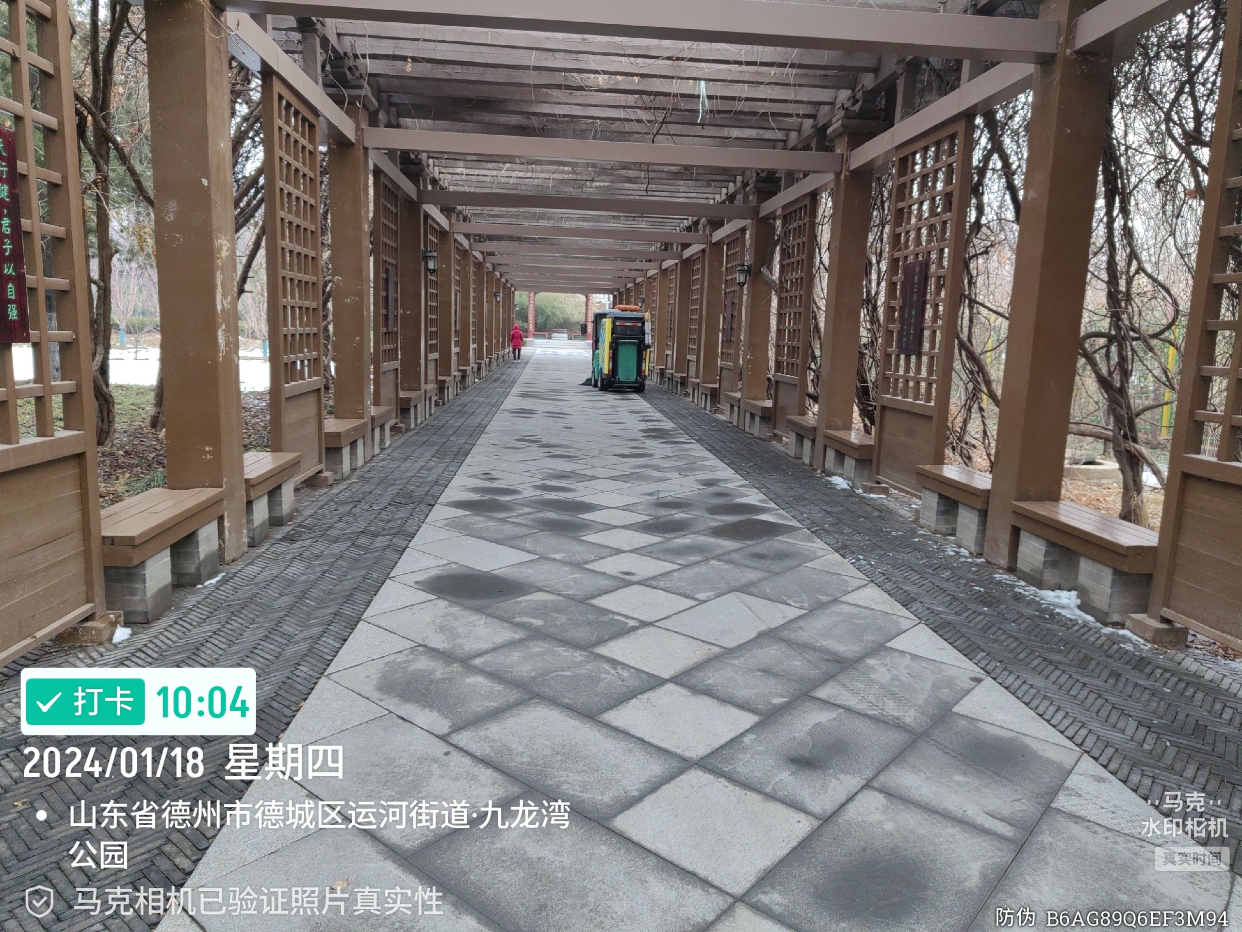 九龙湾公园旅行图片 3