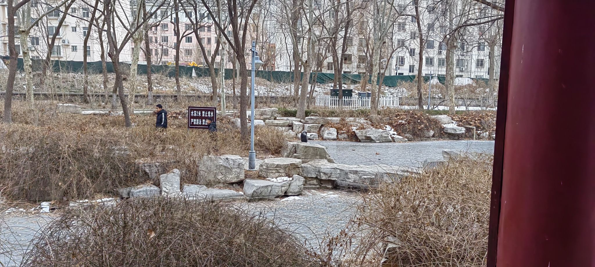 九龙湾公园旅行图片 2