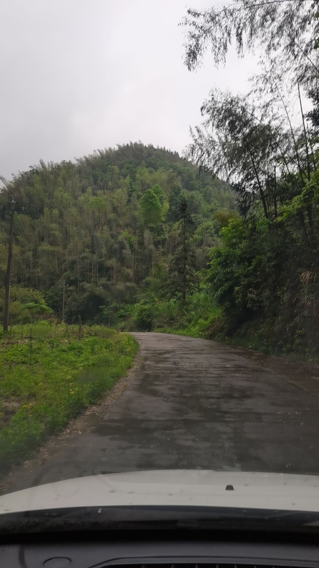 白寺村景区旅行图片 3