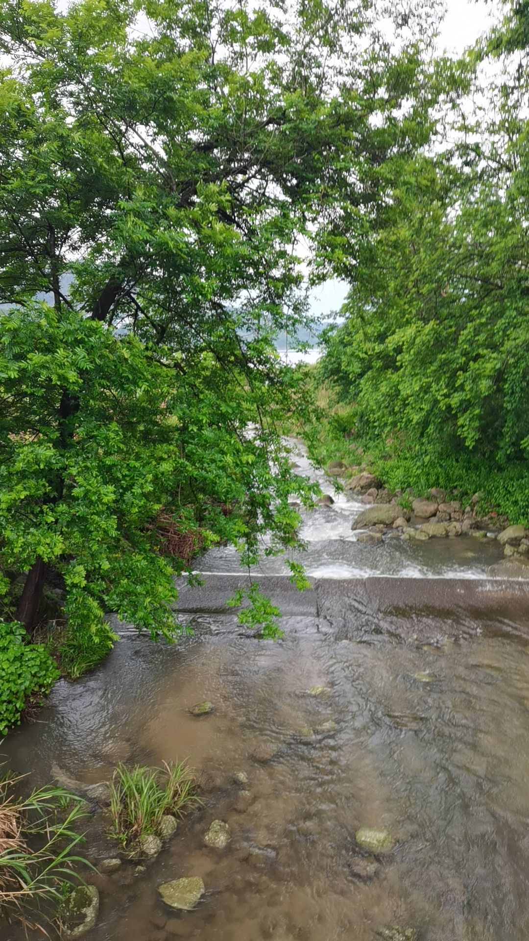 白寺村景区旅行图片 2