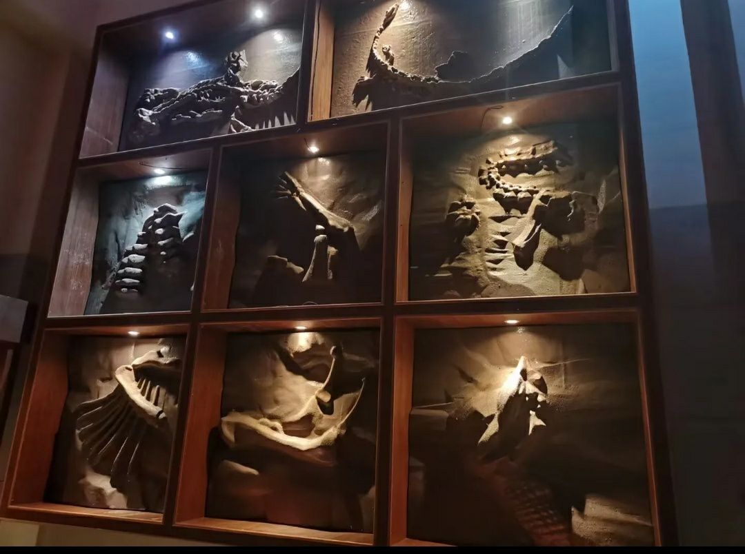 株洲方特旅游区旅行图片 2