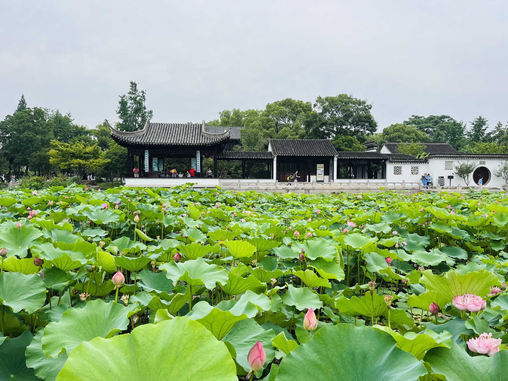 虎丘山风景区-一榭园