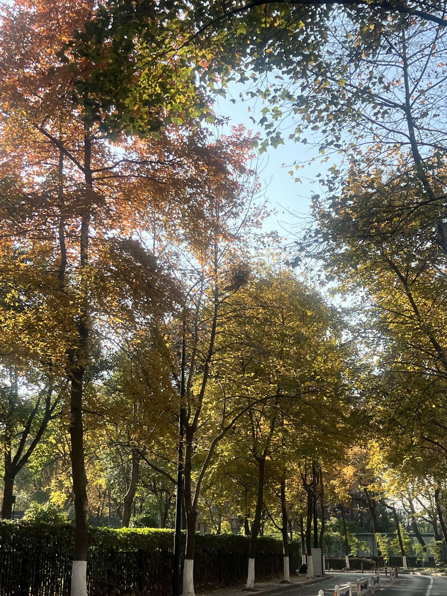南宁古城墙旅行图片 2