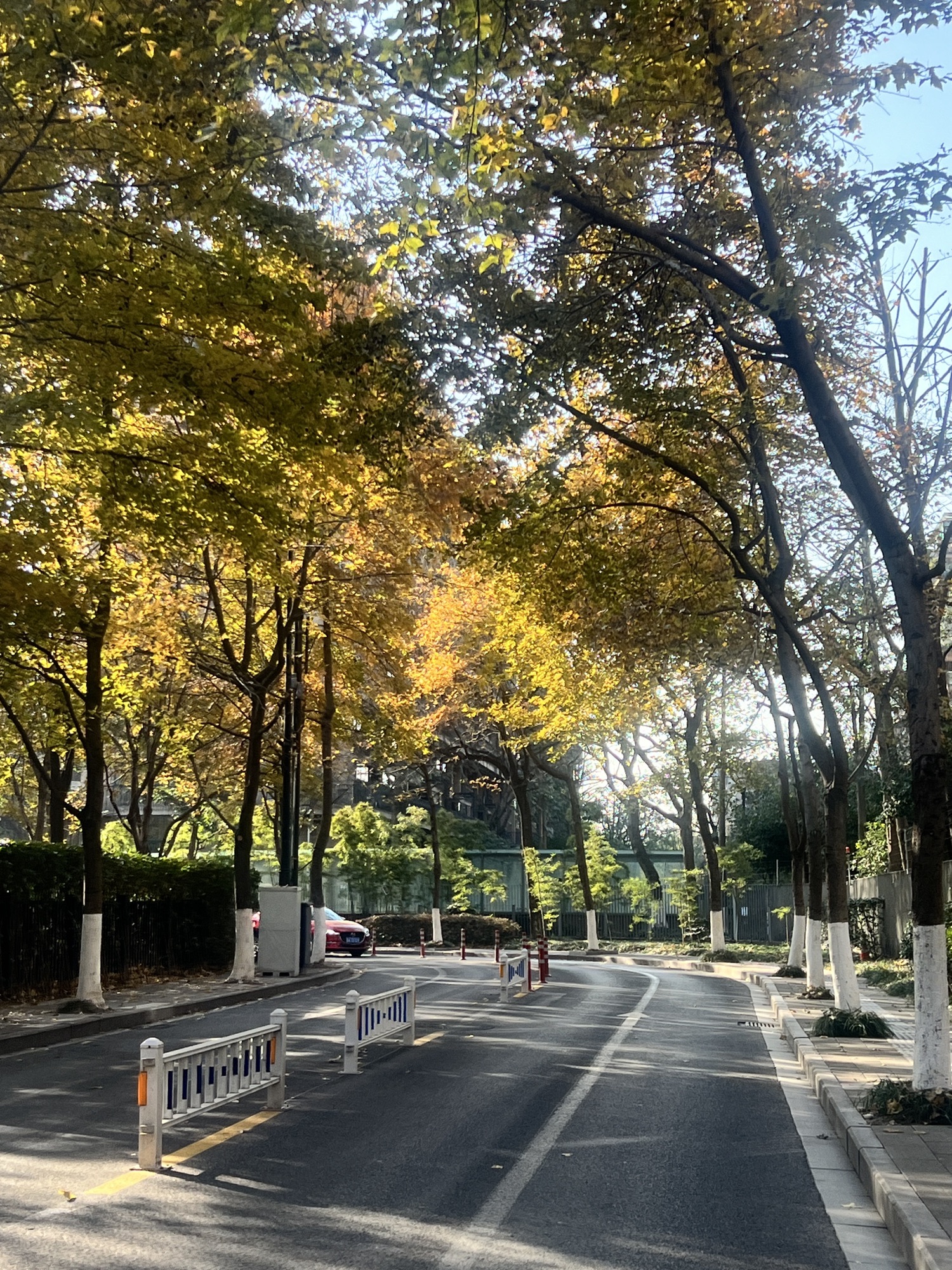 南宁古城墙旅行图片 1