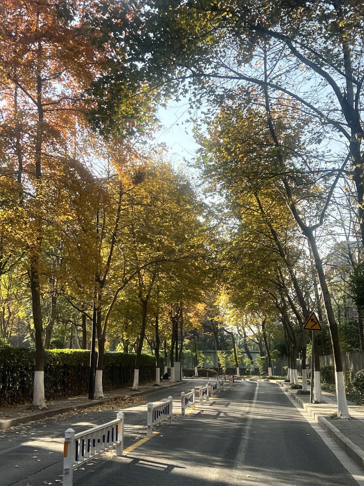 南宁古城墙旅行图片 3