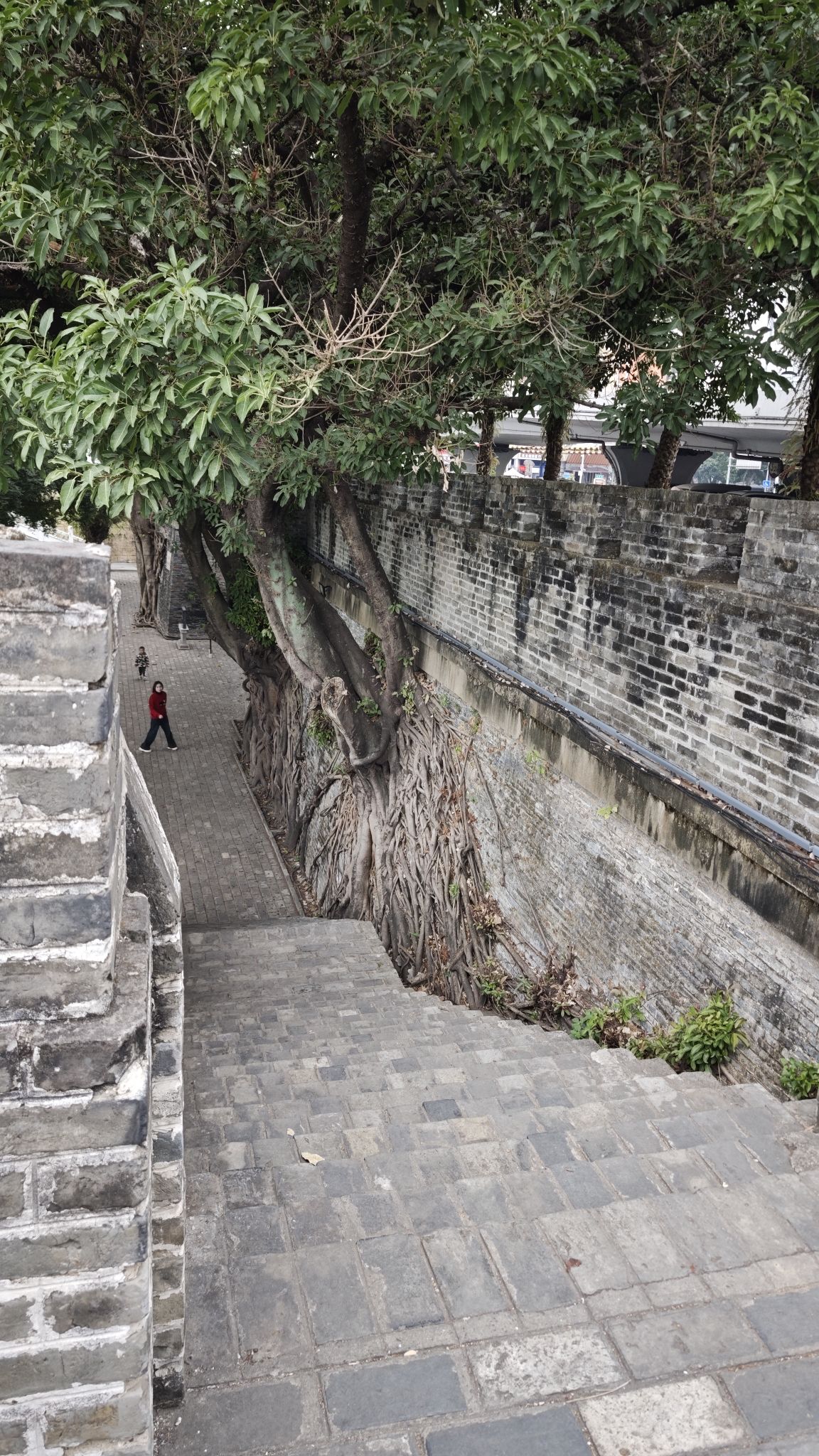 南宁古城墙旅行图片 1