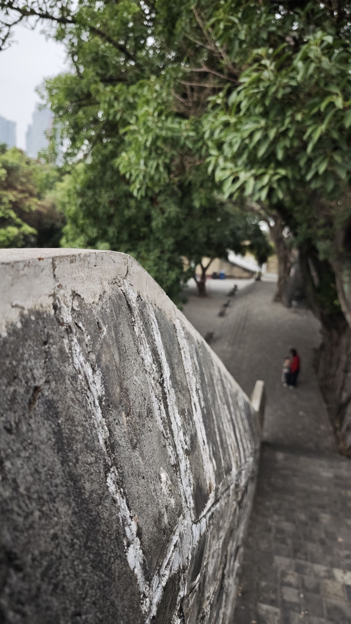 南宁古城墙旅行图片 2