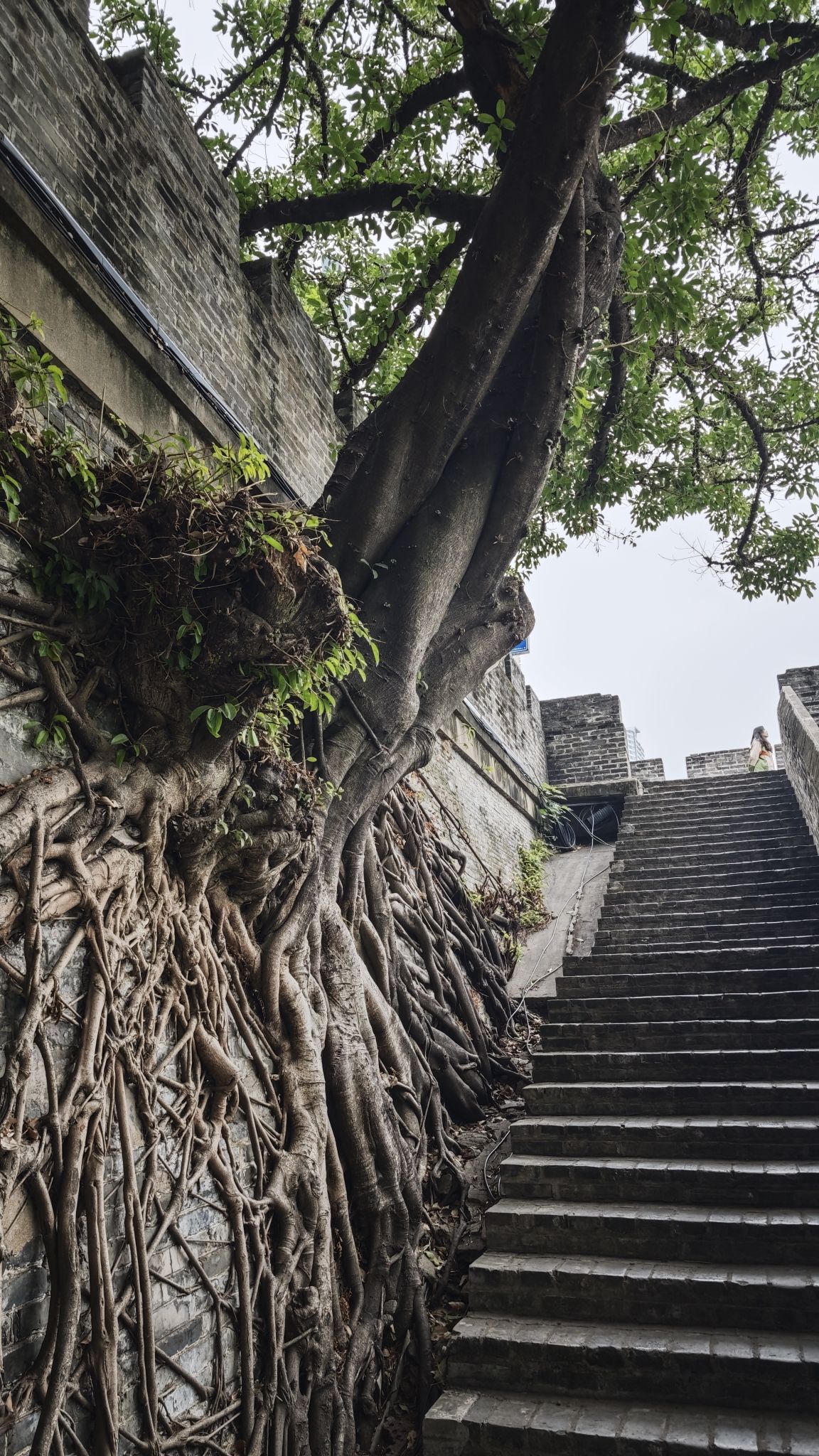 南宁古城墙旅行图片 3