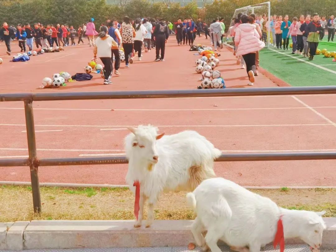 双羊小学