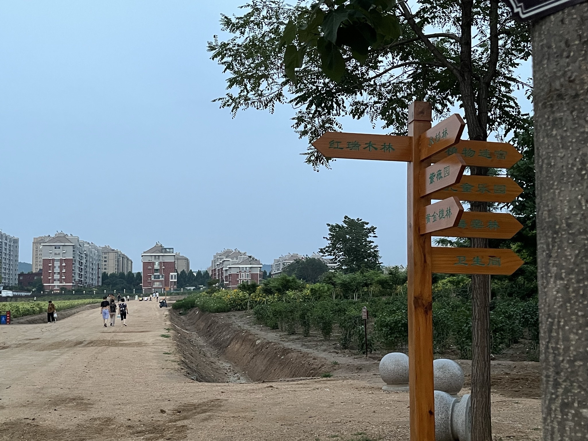 昌乐市民文化体育公园旅行图片 2