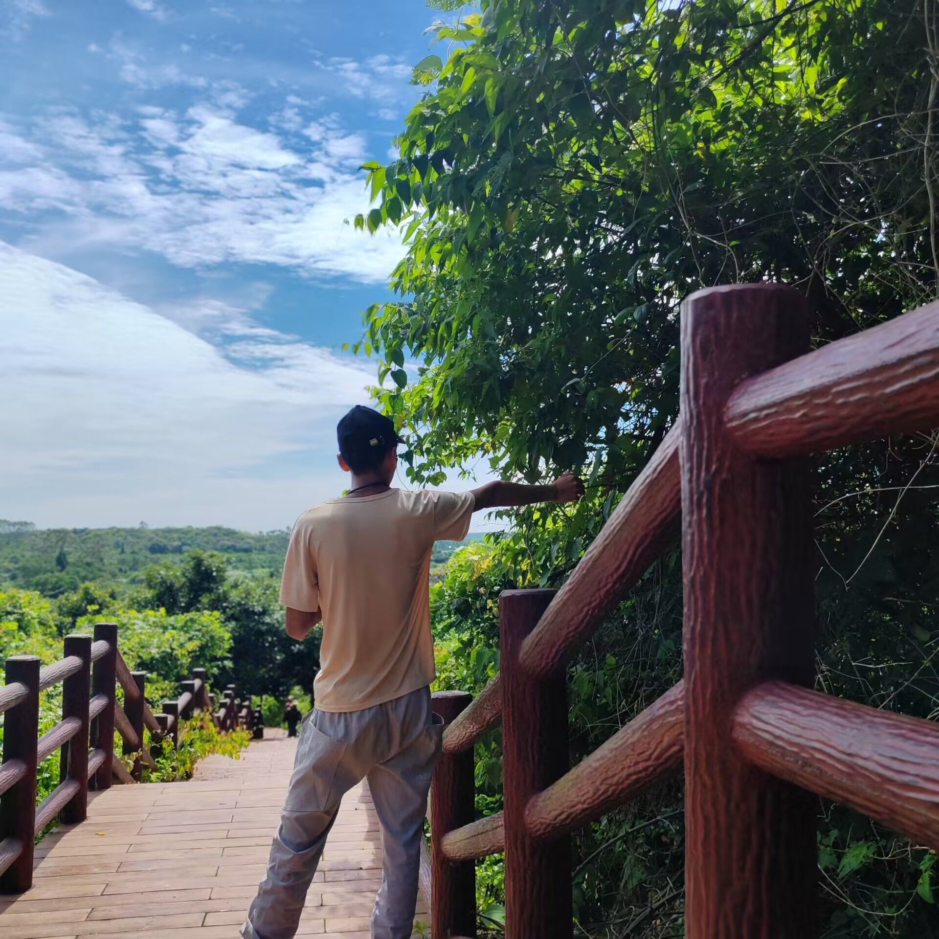 九龙山红树林国家湿地公园旅行图片 2