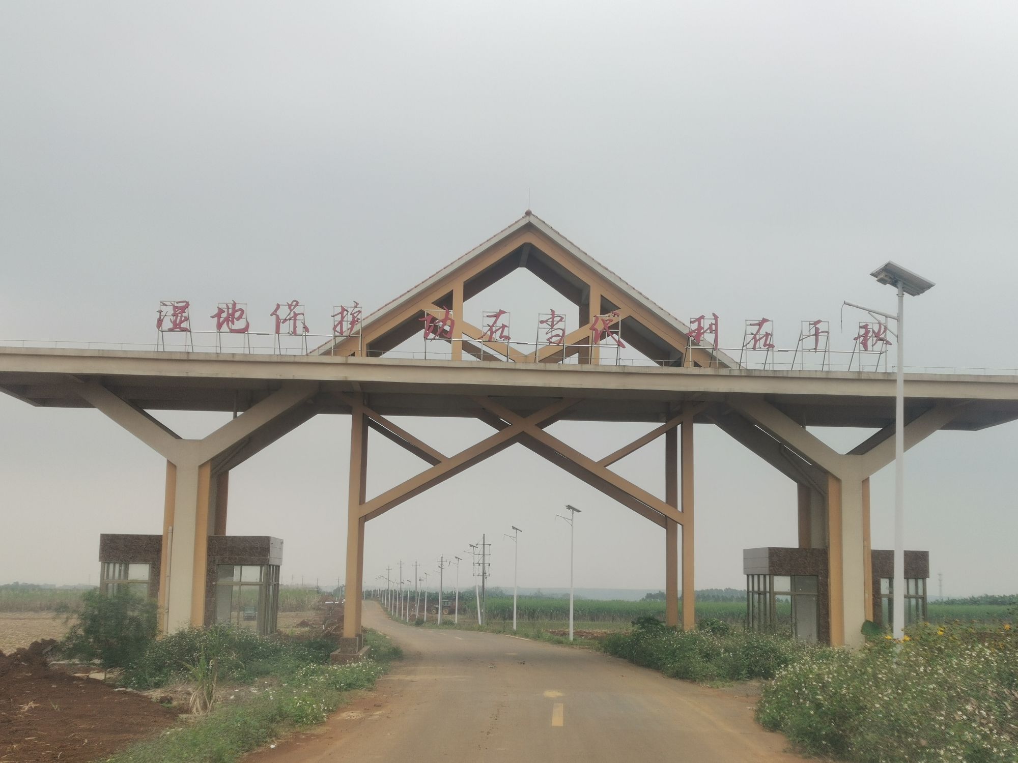 九龙山红树林国家湿地公园旅行图片 3