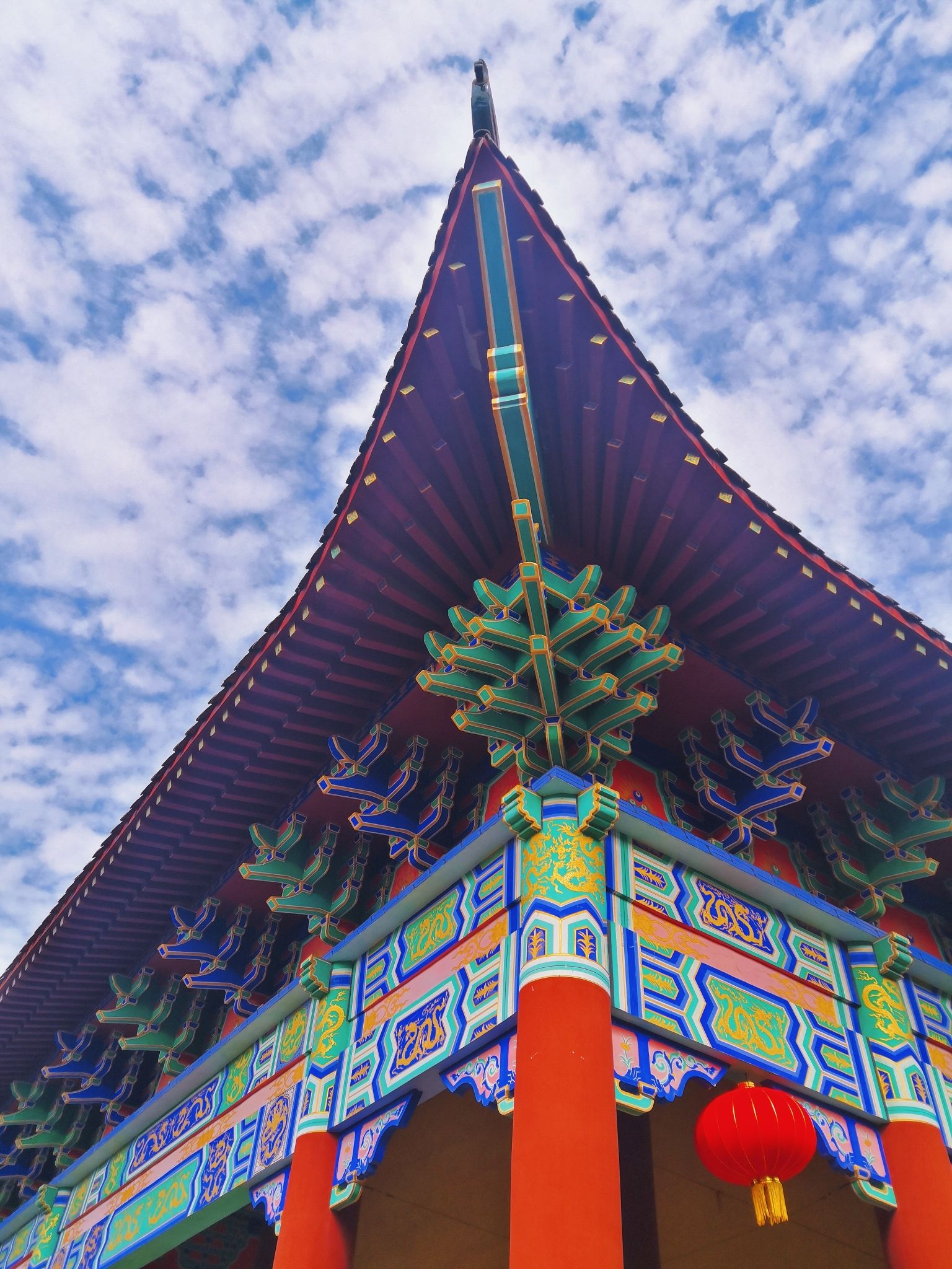 九龙山红树林国家湿地公园旅行图片 3