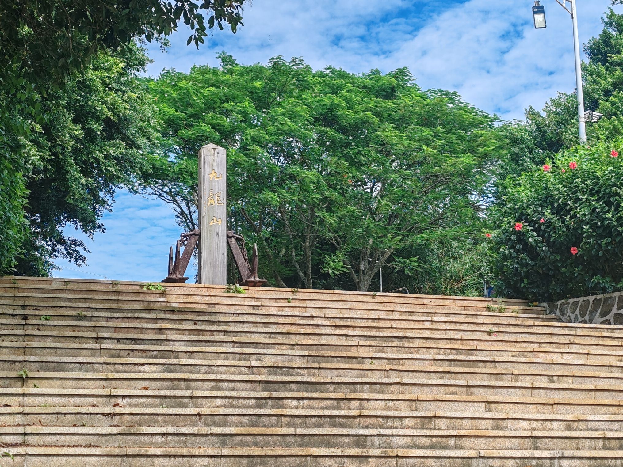 九龙山红树林国家湿地公园旅行图片 3