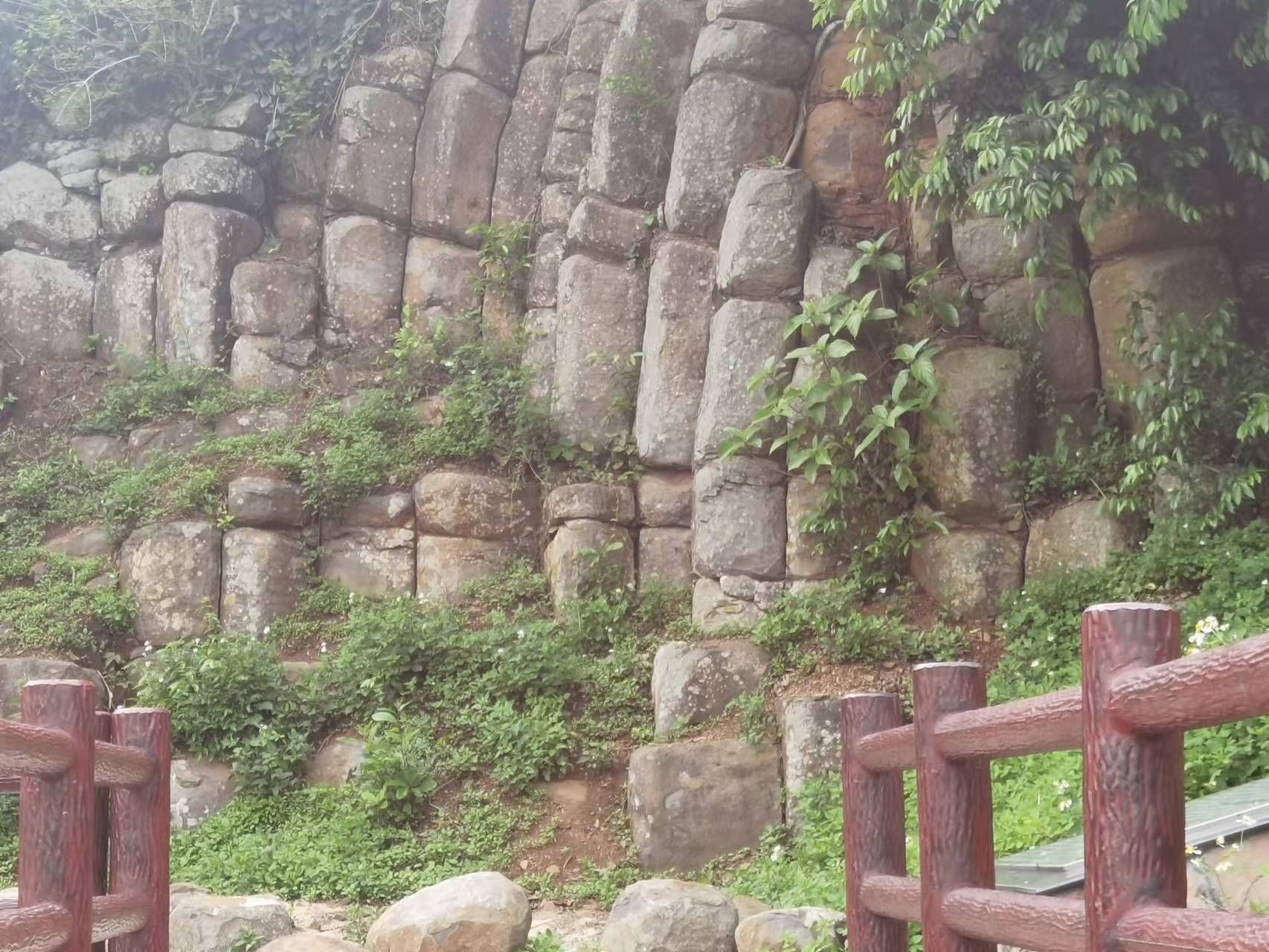 九龙山红树林国家湿地公园旅行图片 1