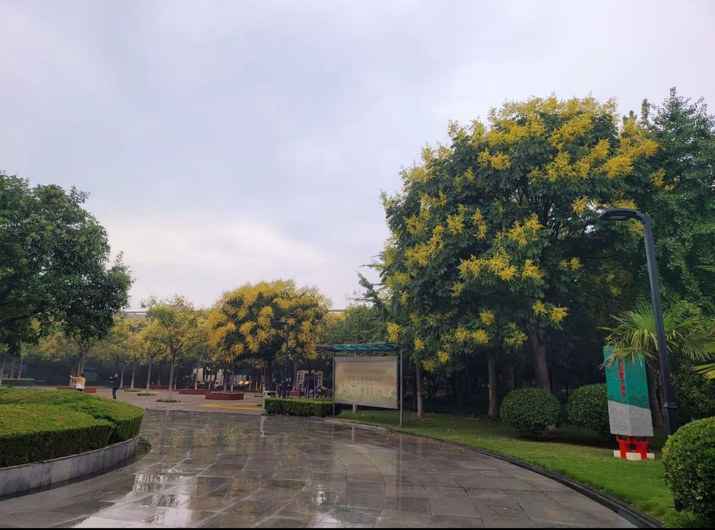 同乐公园旅行图片 1