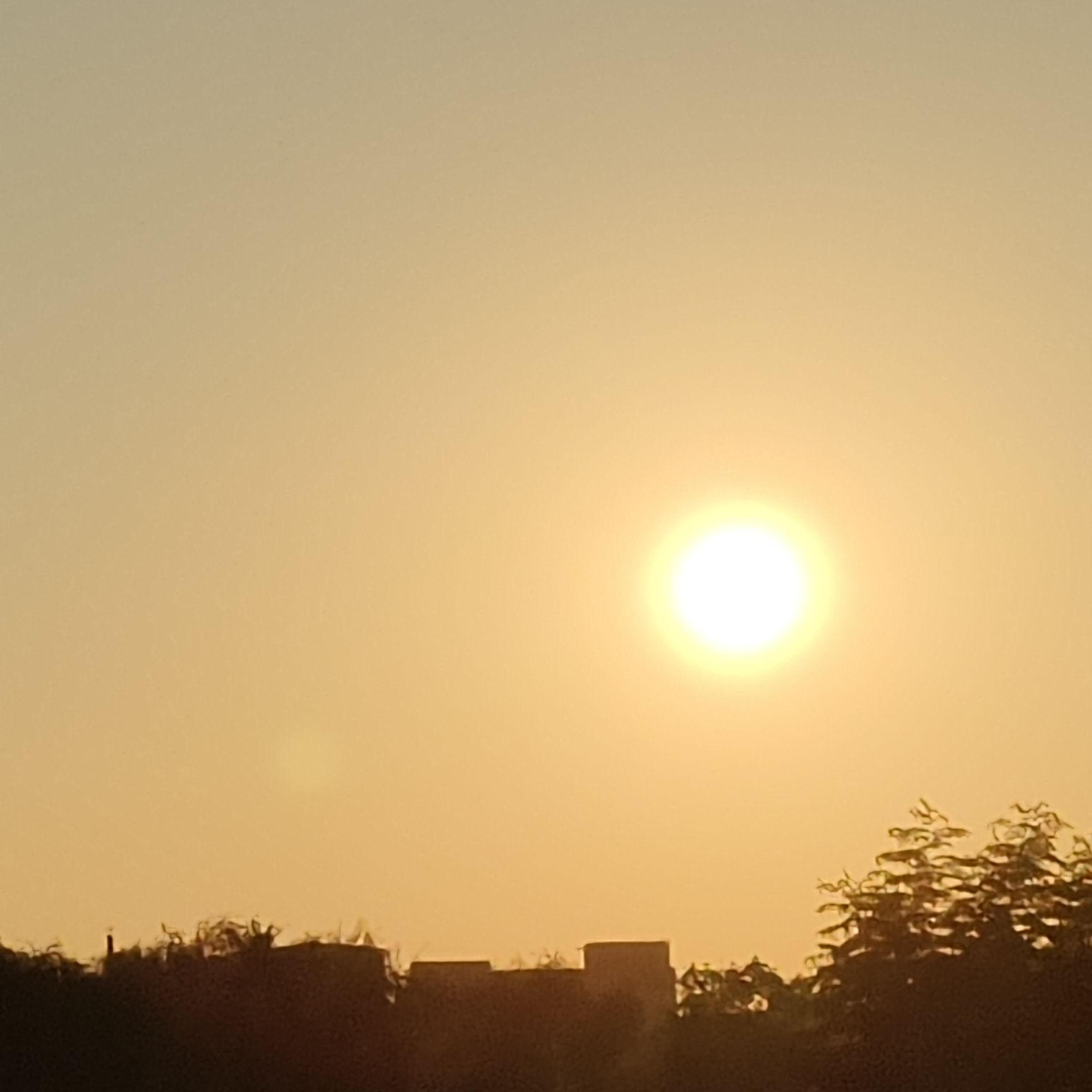 咸平公园旅行图片 1