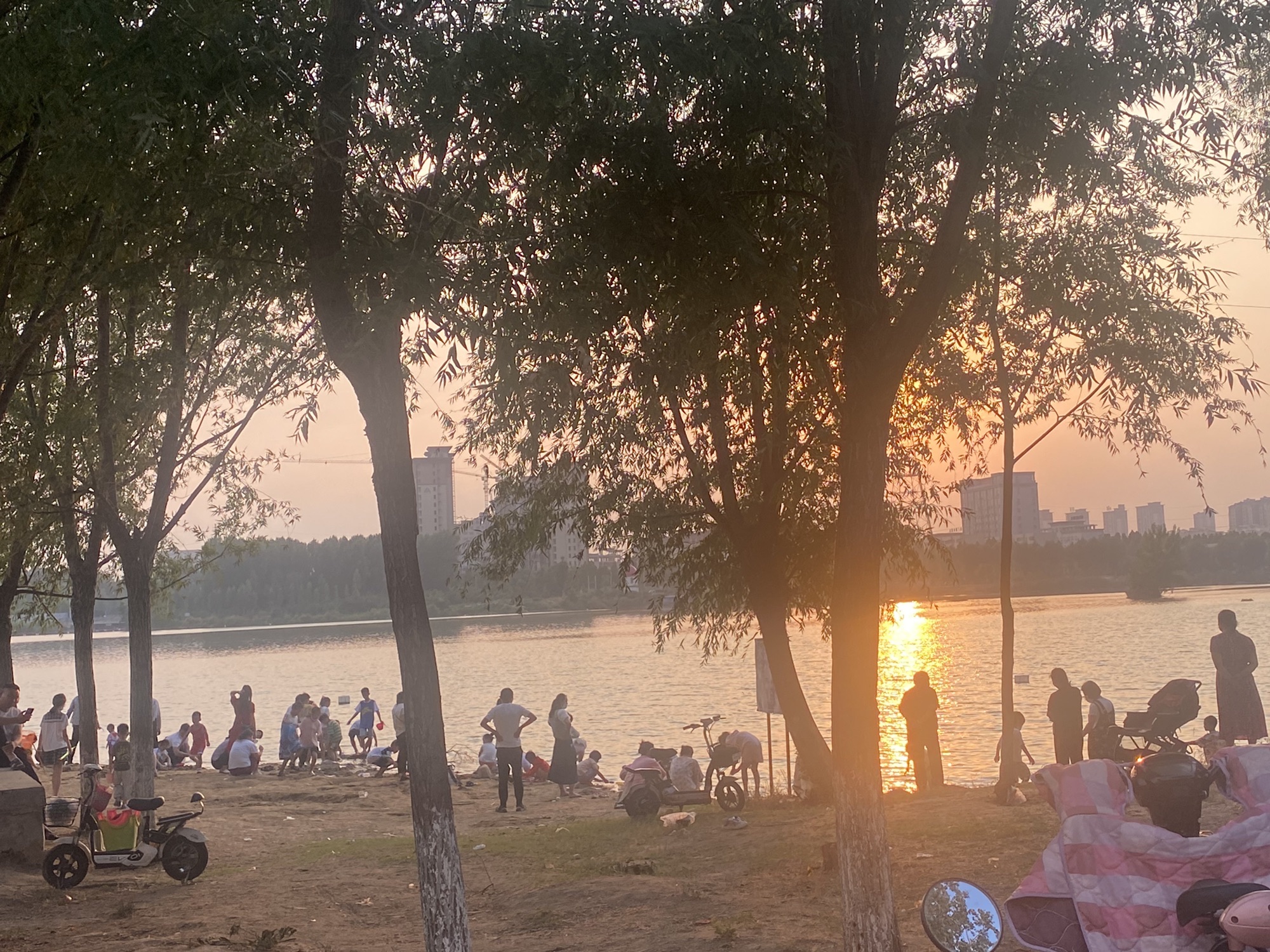 咸平公园旅行图片 1