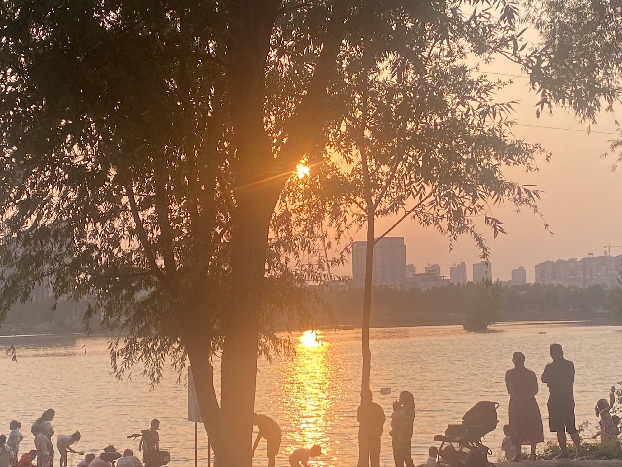 咸平公园旅行图片 3