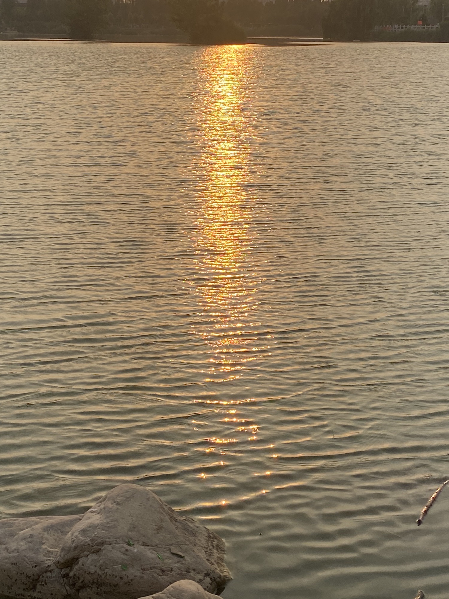 咸平公园旅行图片 2