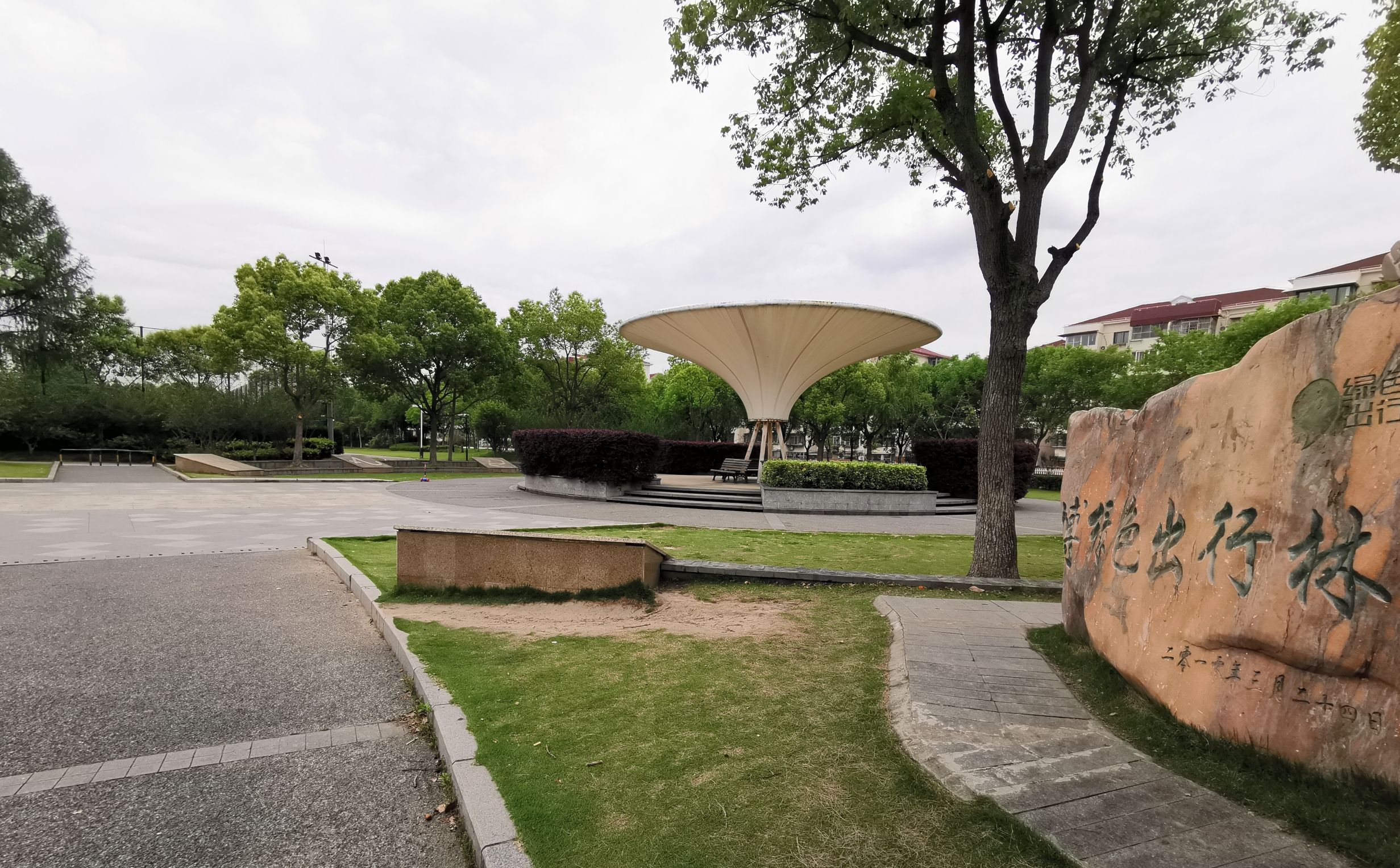 世博绿色出行林旅行图片 3