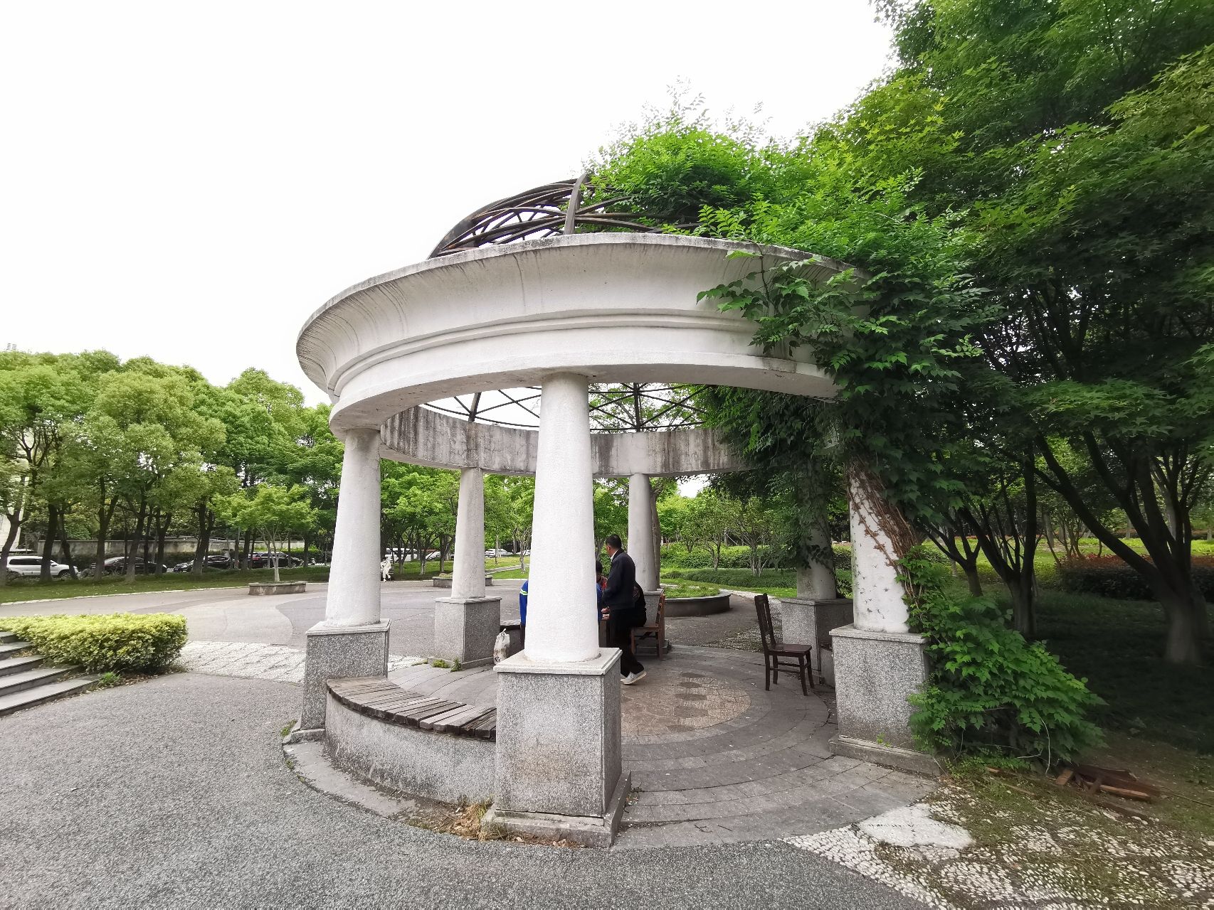 世博绿色出行林旅行图片 2