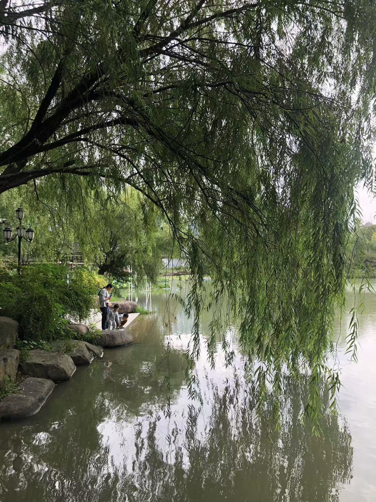 诸暨市民公园旅行图片 1
