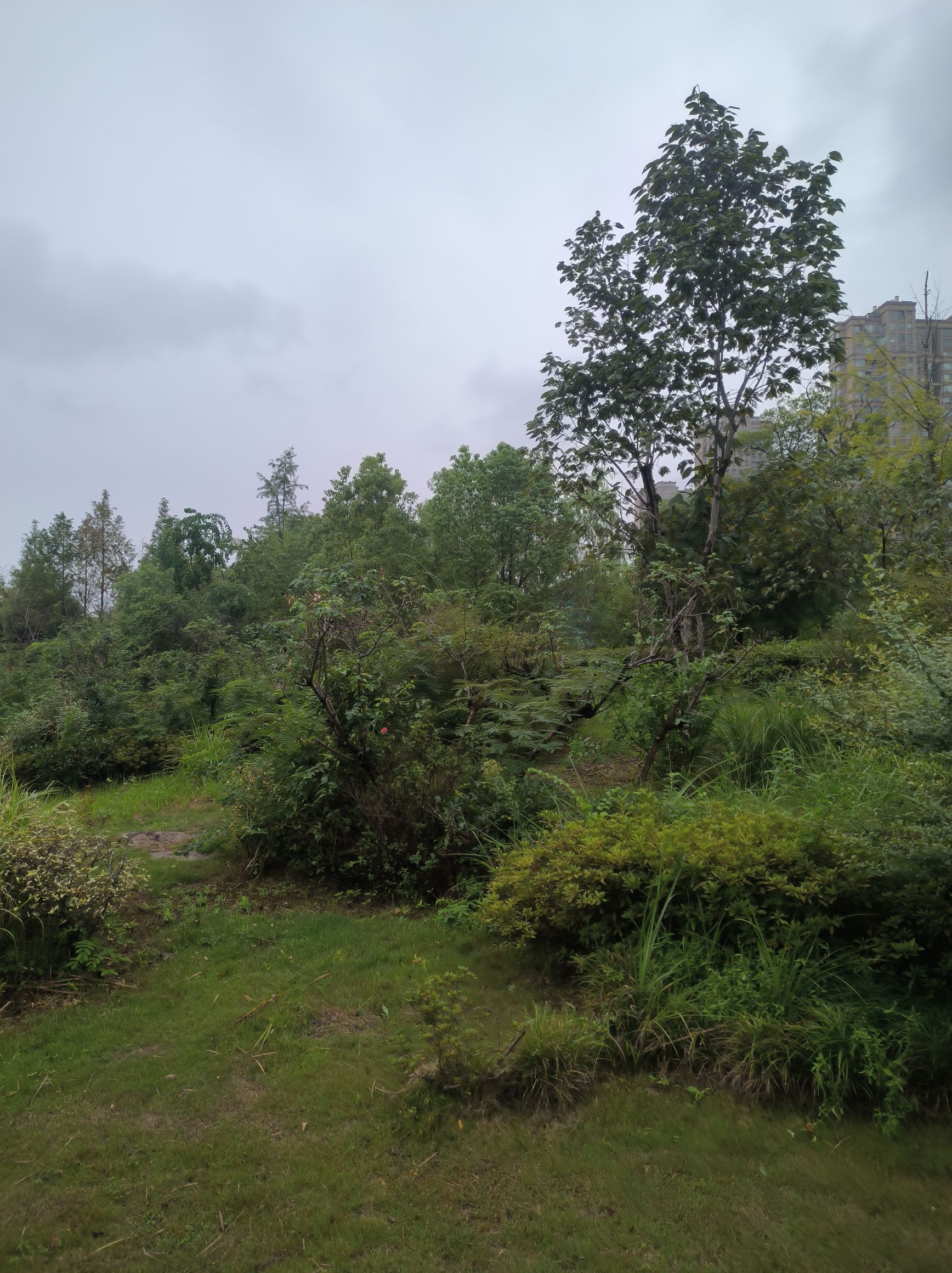 诸暨市民公园旅行图片 3