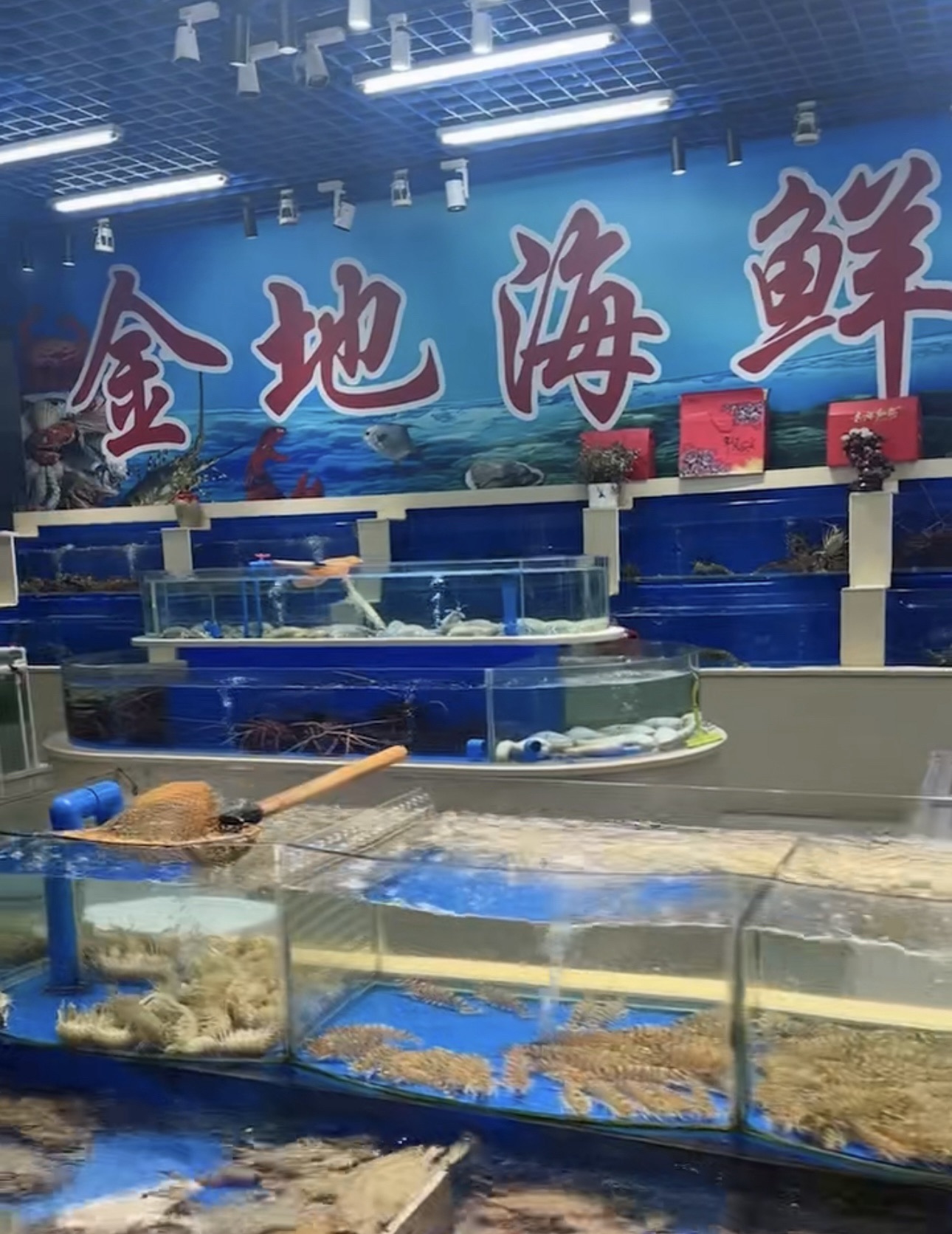 海中鲜鲜活水产金地海鲜