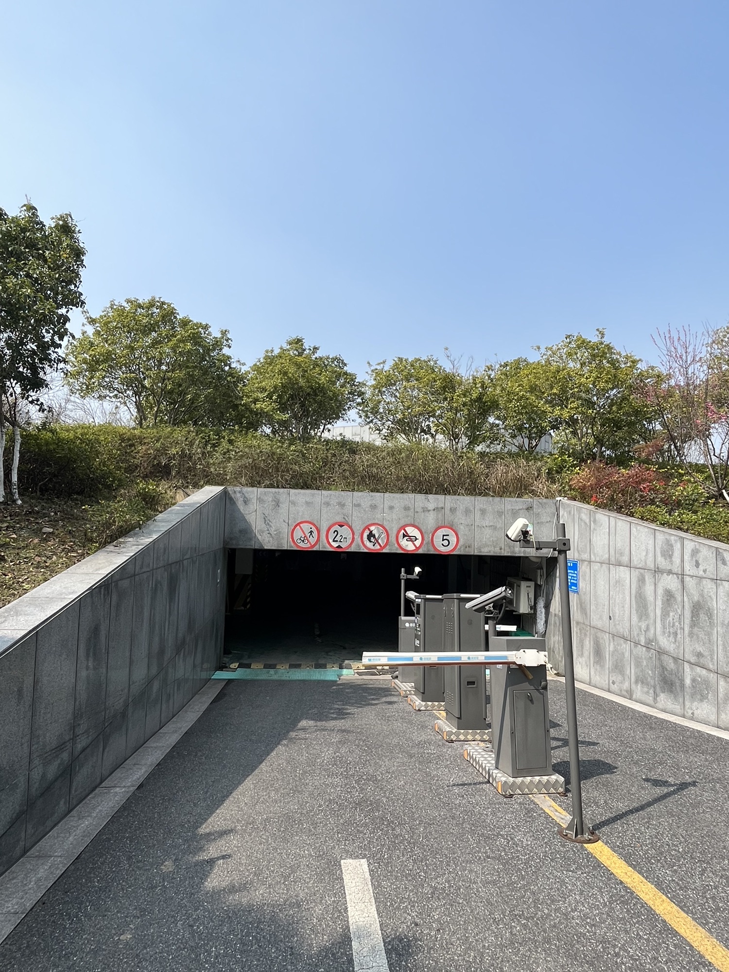南湖区市民公园旅行图片 3