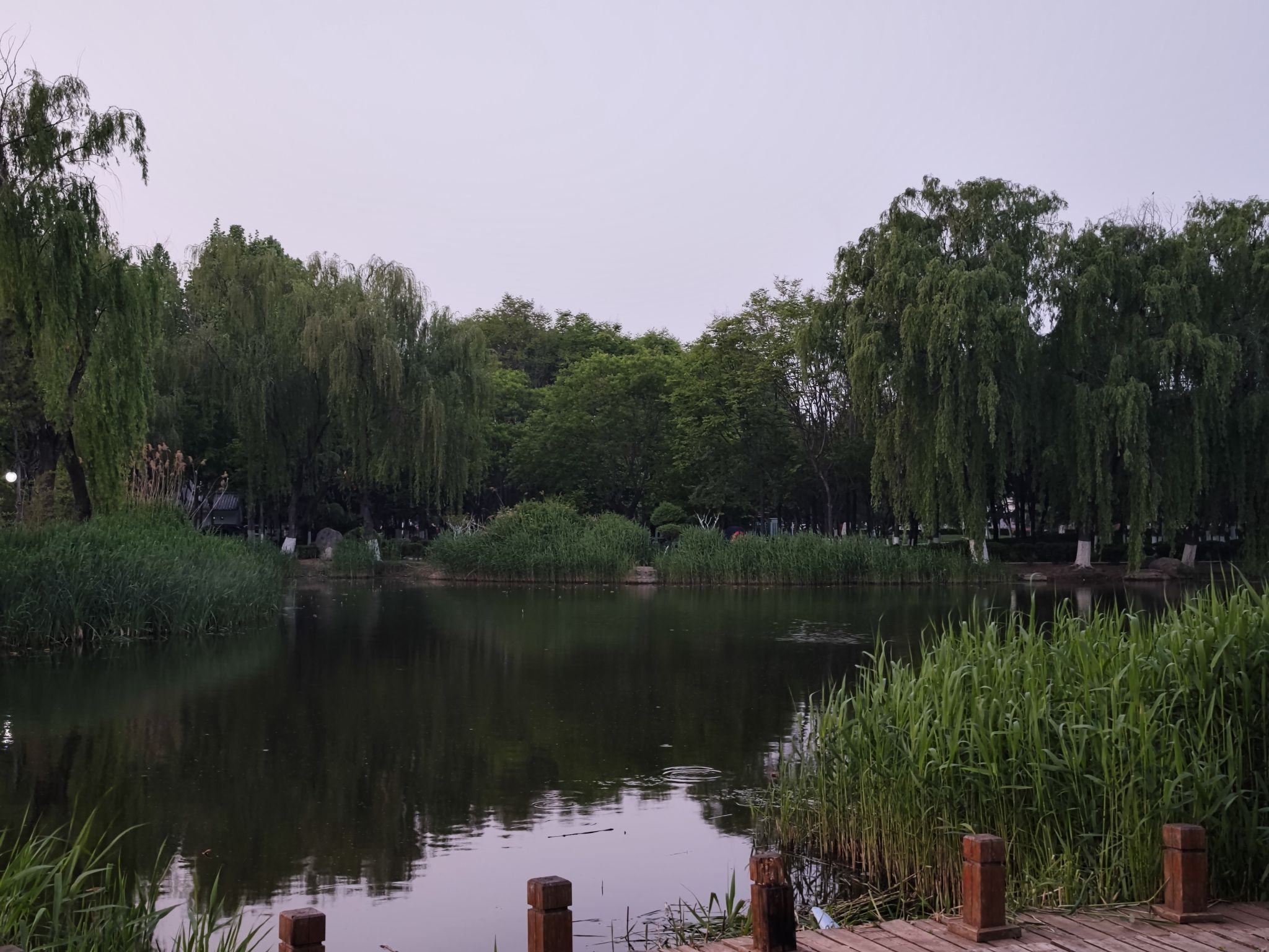 范蠡公园旅行图片 3
