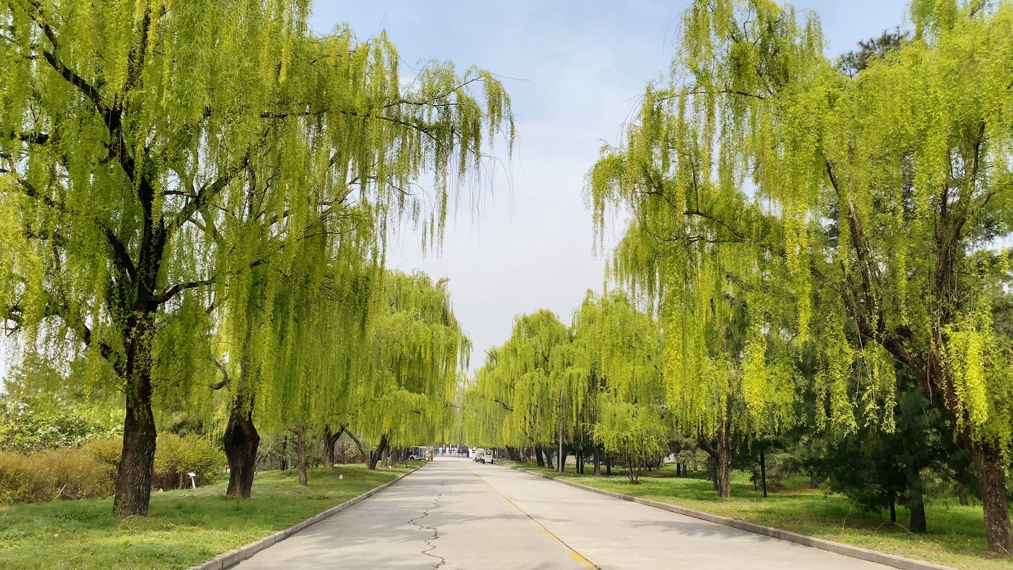 思贤文化广场旅行图片 2