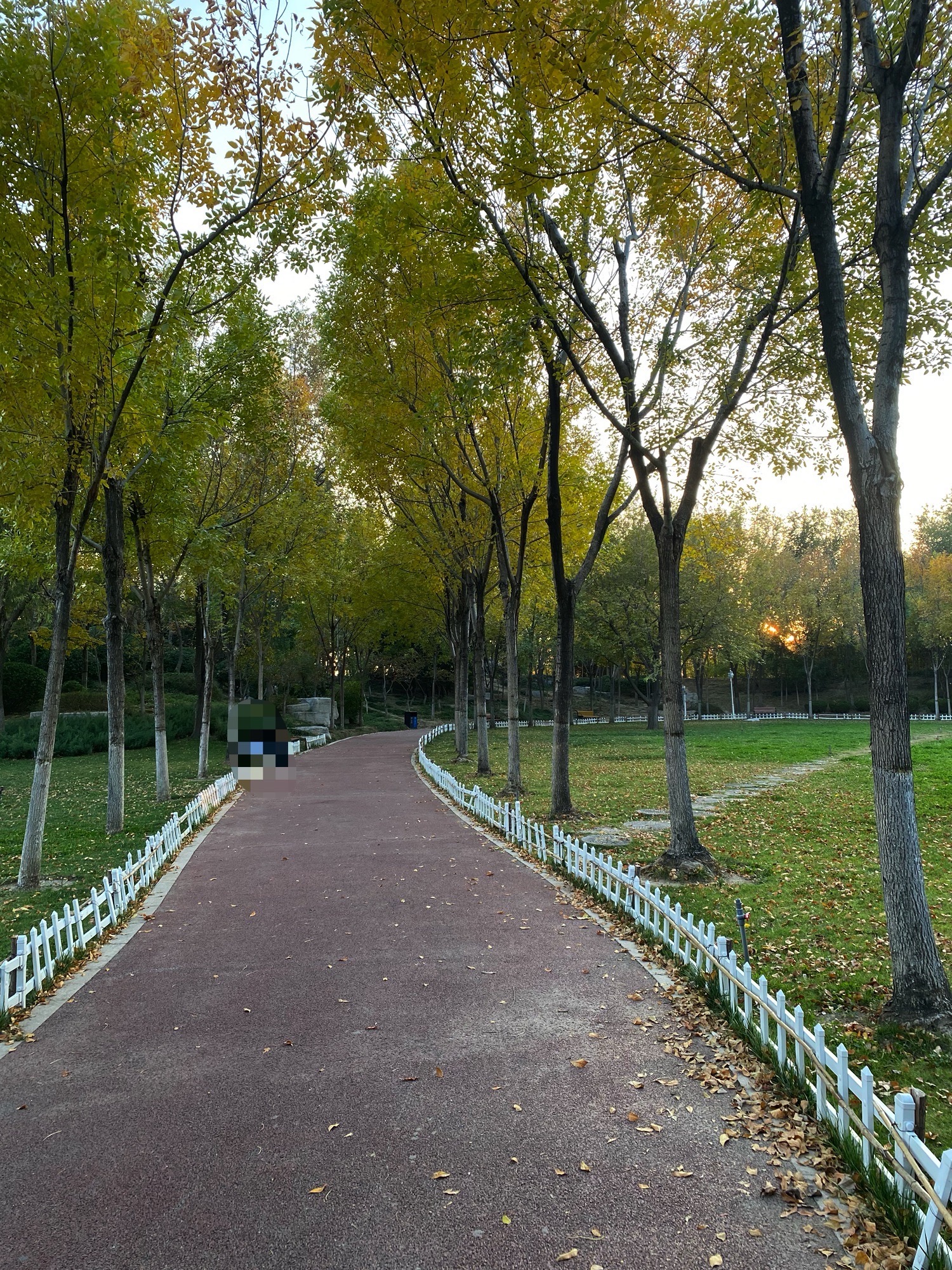 明潭公园旅行图片 3