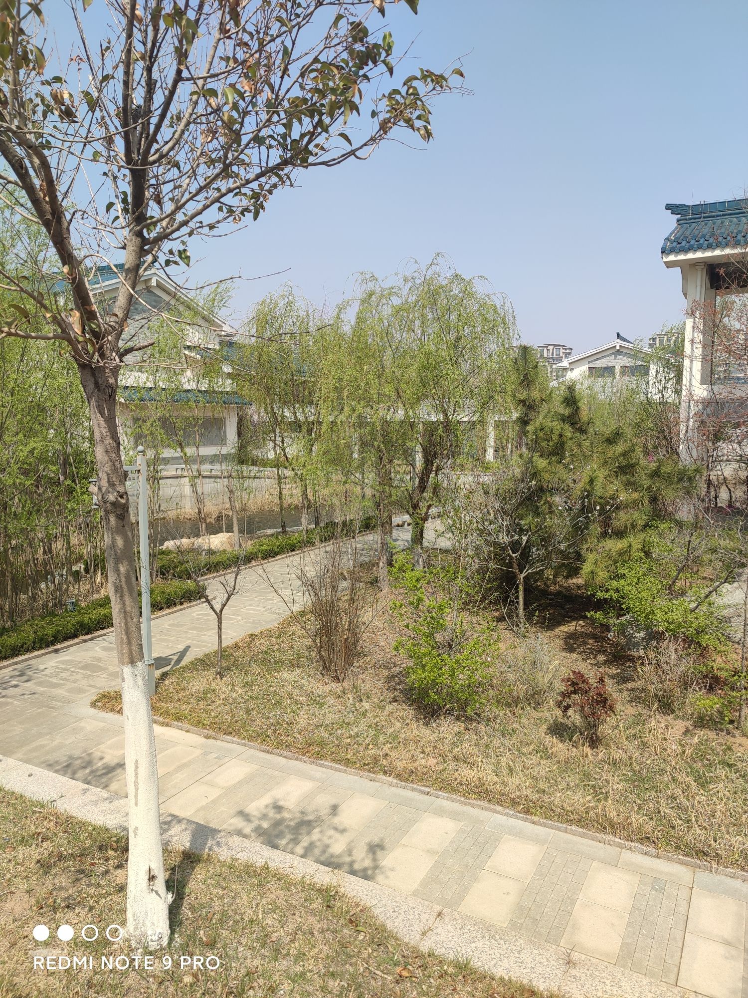 明潭公园旅行图片 3