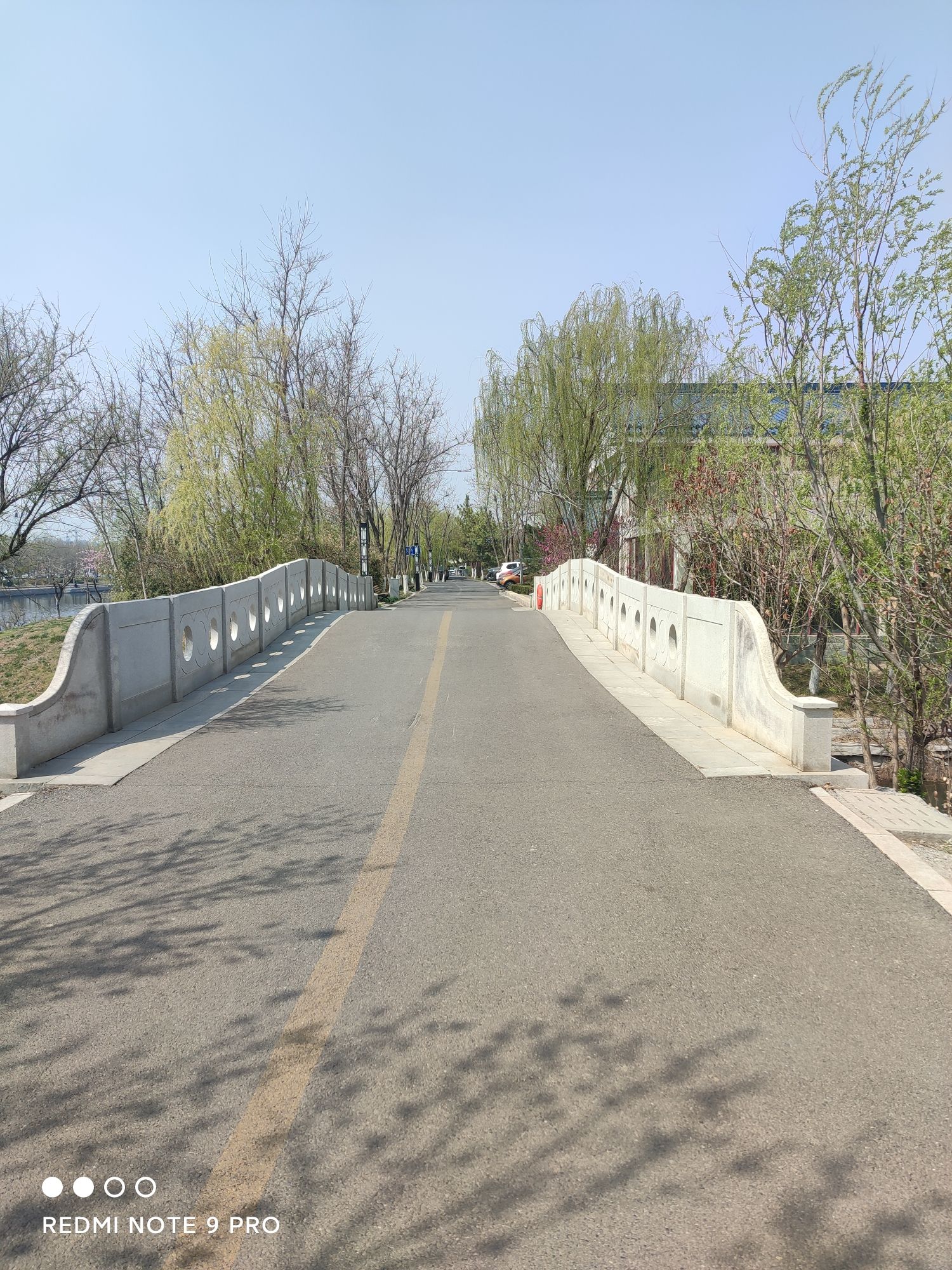 明潭公园旅行图片 2
